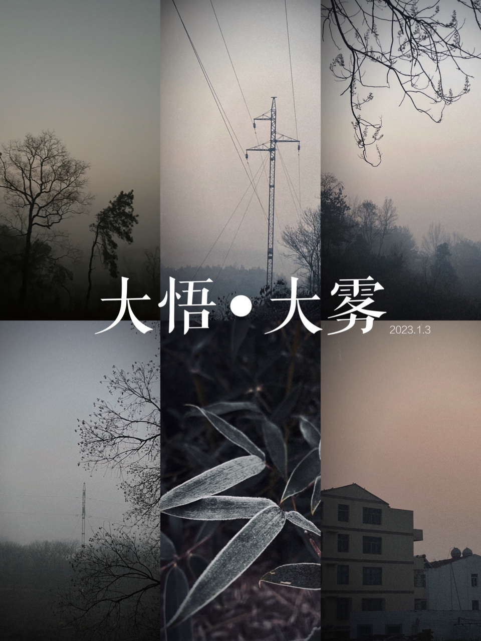 9115分享一些雾天文案 1,大雾四起,我在无人处爱你,云雾散尽,我爱