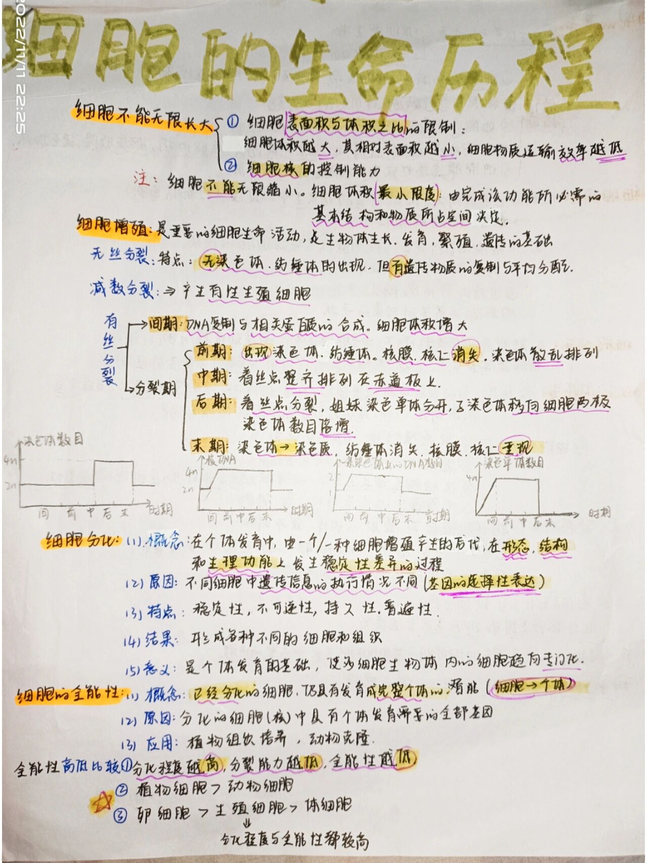 细胞的生命历程高中必修二生物思维导图