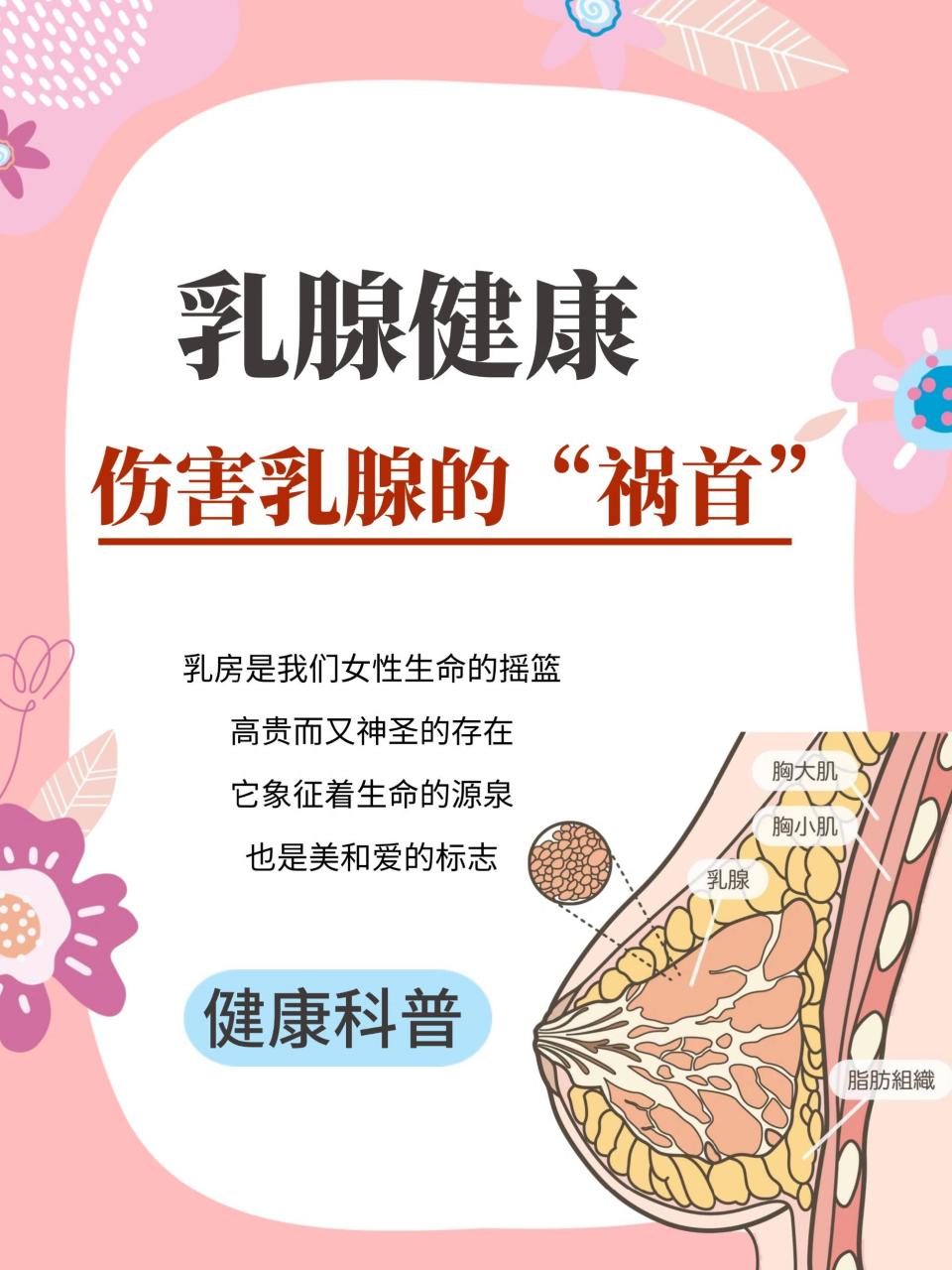 每一位女生都应该知道的乳腺保养知识要点✨ 乳房作为我们女性生命
