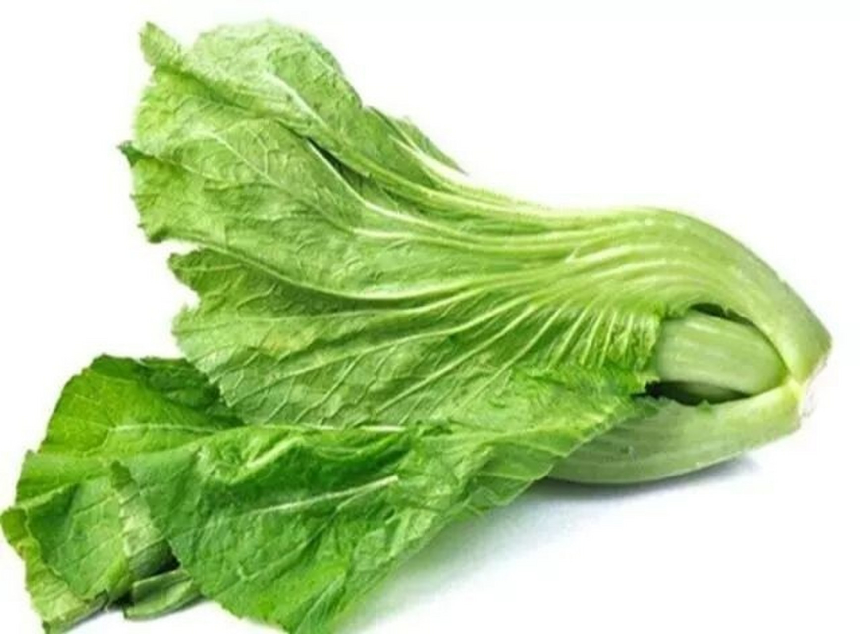 芥菜?芥末? 你们通常叫这个什么菜? 我们统称为青菜,清火必备良品.