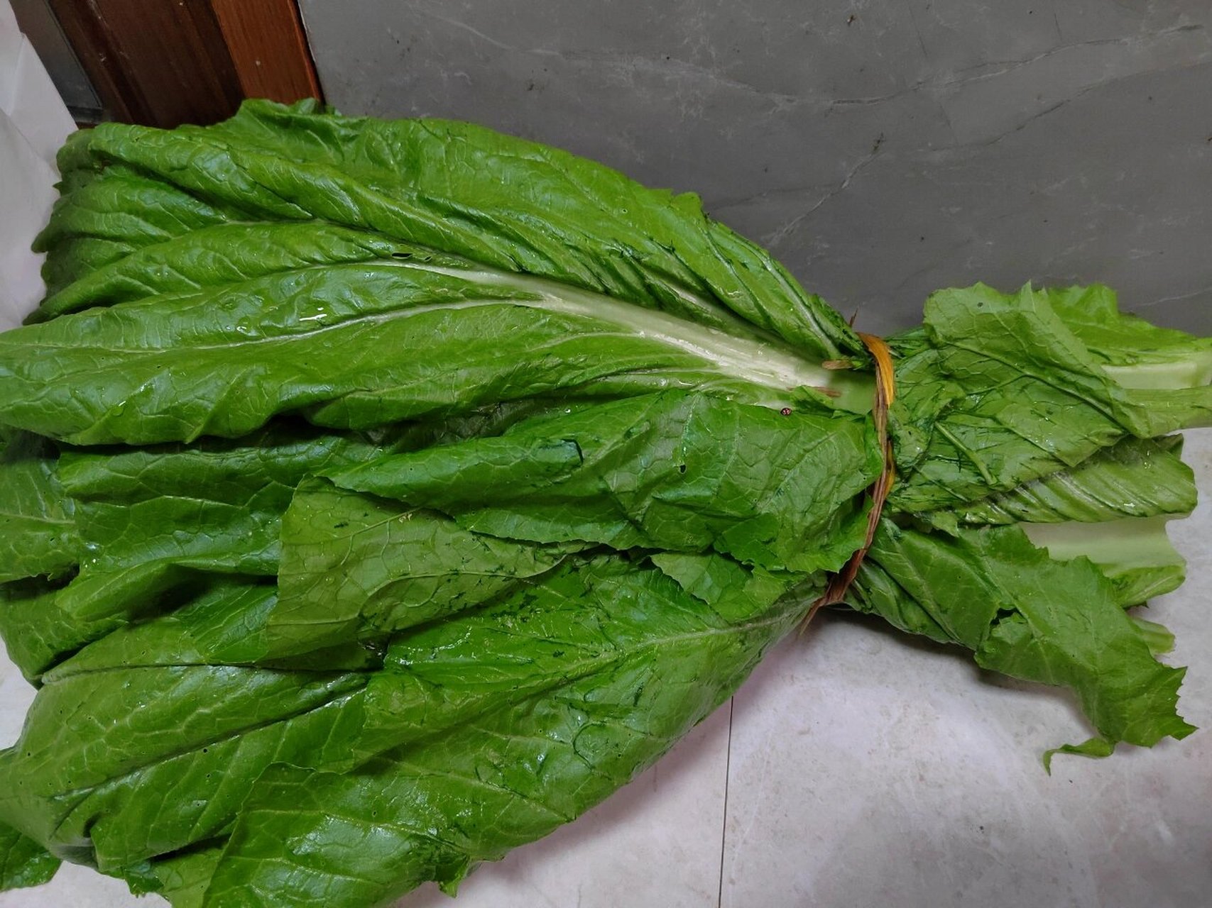 大叶芥菜 两块钱一大把,这种打火锅或者煮粥最好吃,月子里的鸡汤放