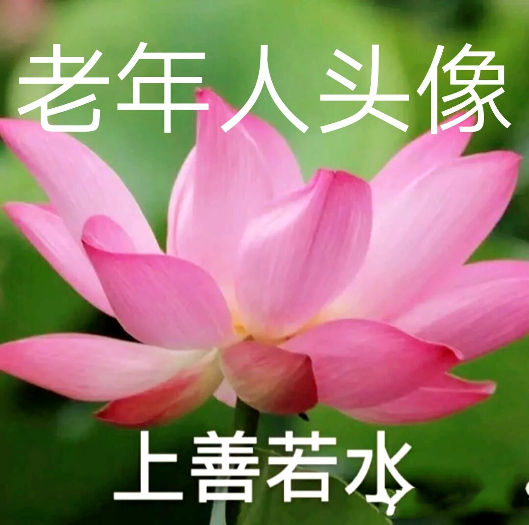 《老年中年人头像》