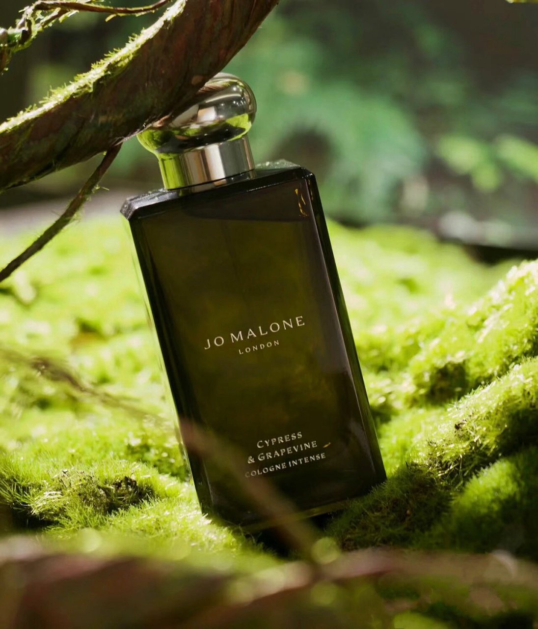 jo malone「柏木与葡萄藤」高级木质调 在浩瀚的宇宙中,每个人都像