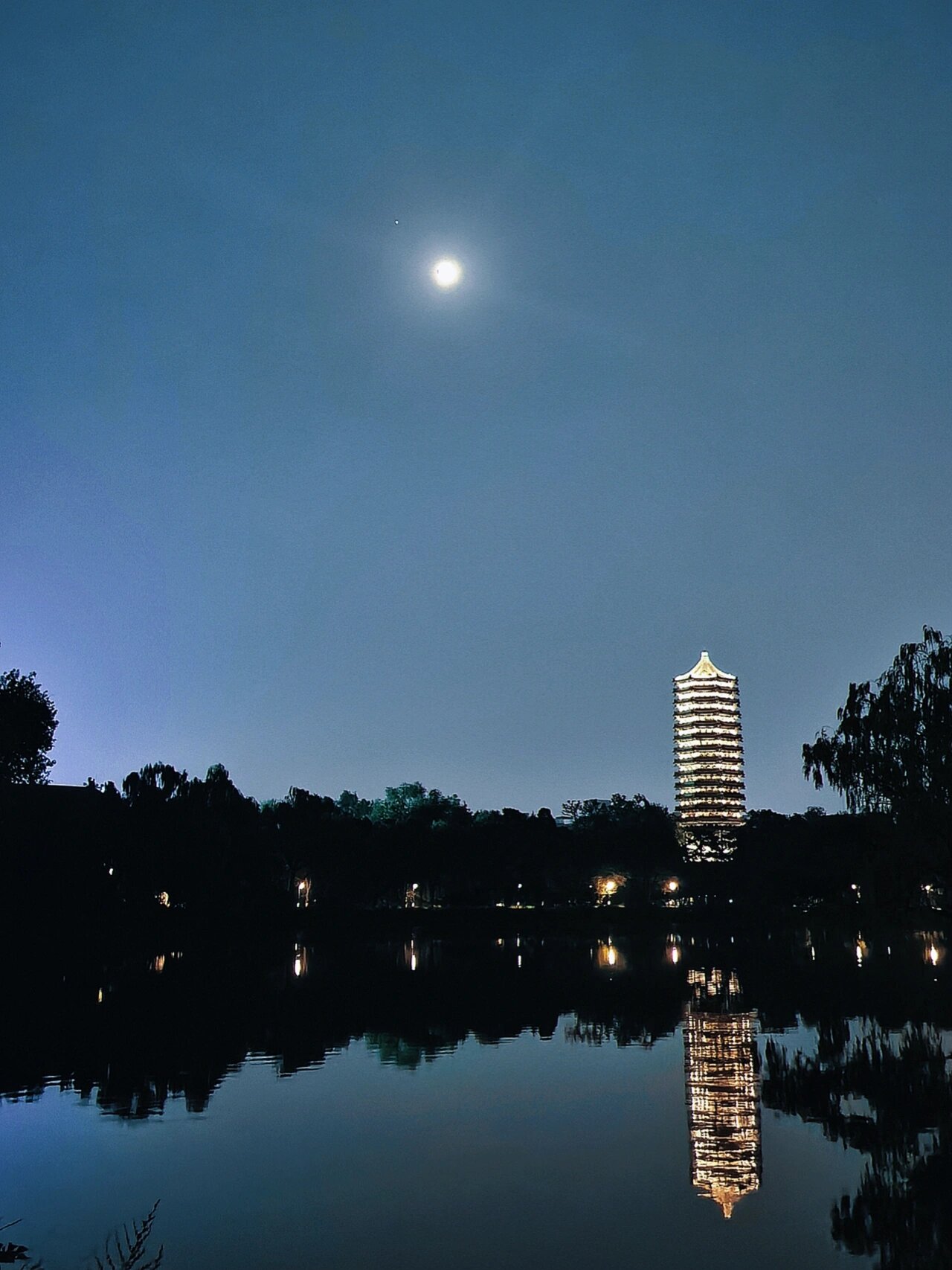 博雅塔夜景图片