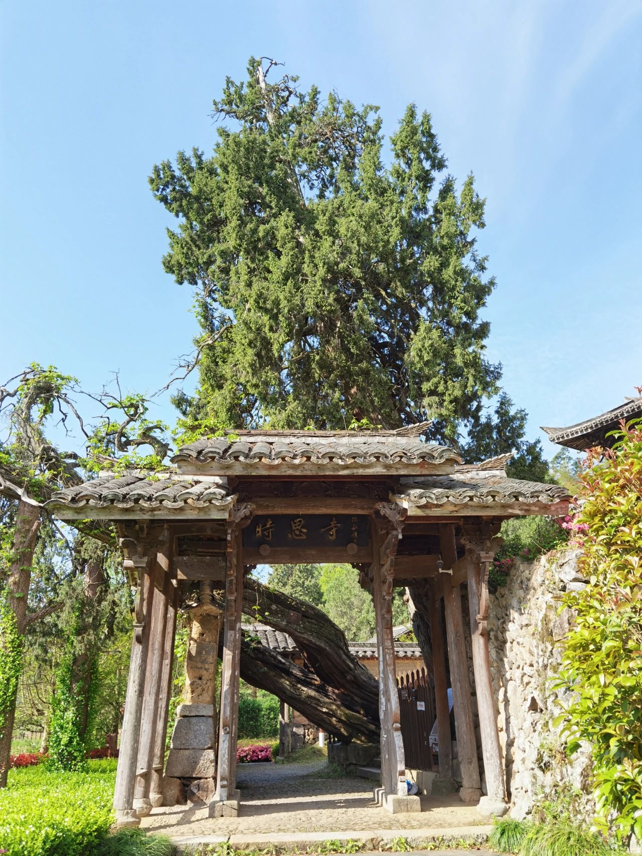 时思寺位于浙江省丽水市景宁畲族自治县 位于浙江省丽水市景宁畲族