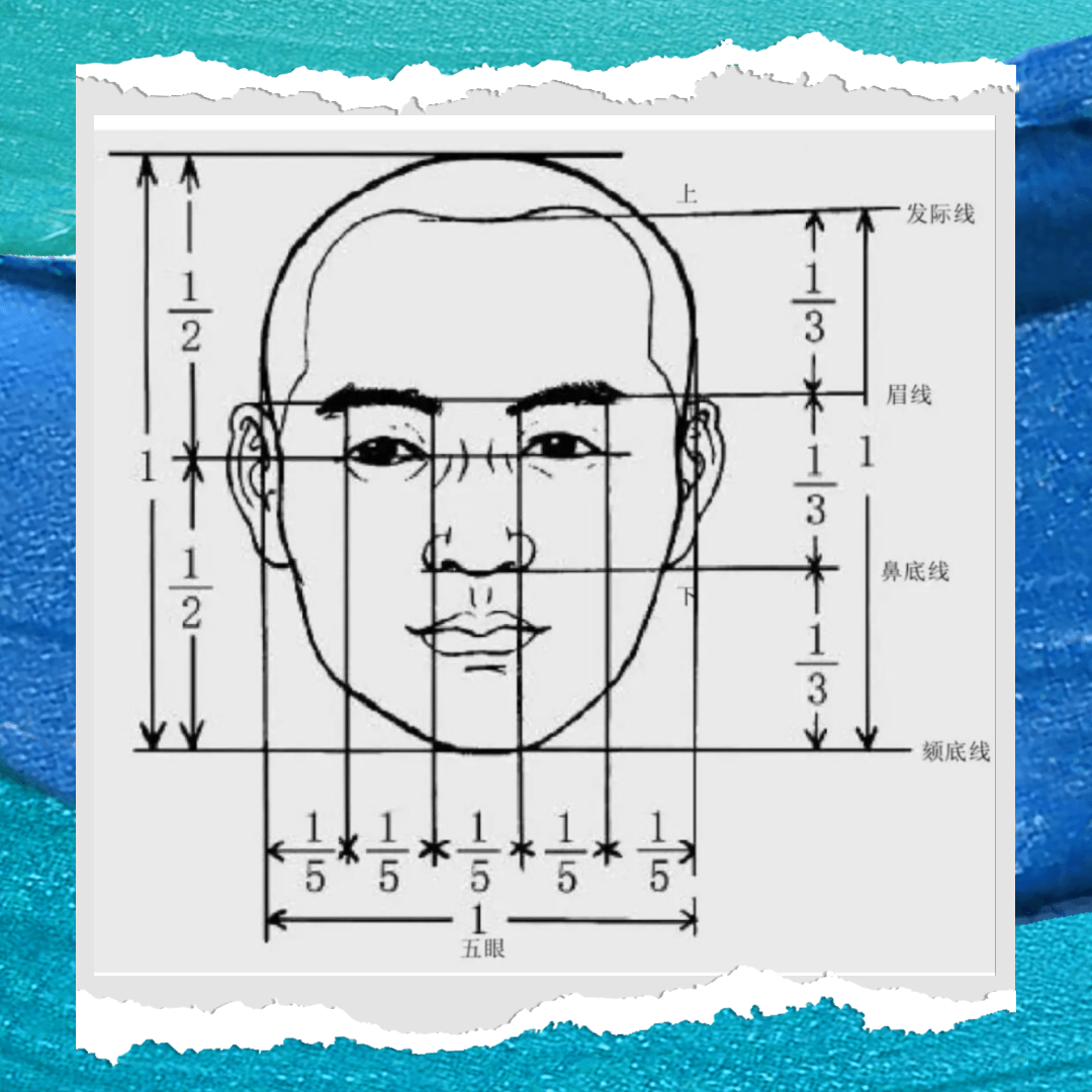 男人的面部五官分析图图片