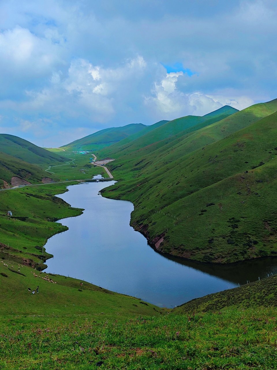 这不是新西兰是云南 云南曲靖会泽大海草山特别美,被称为东方的新西兰