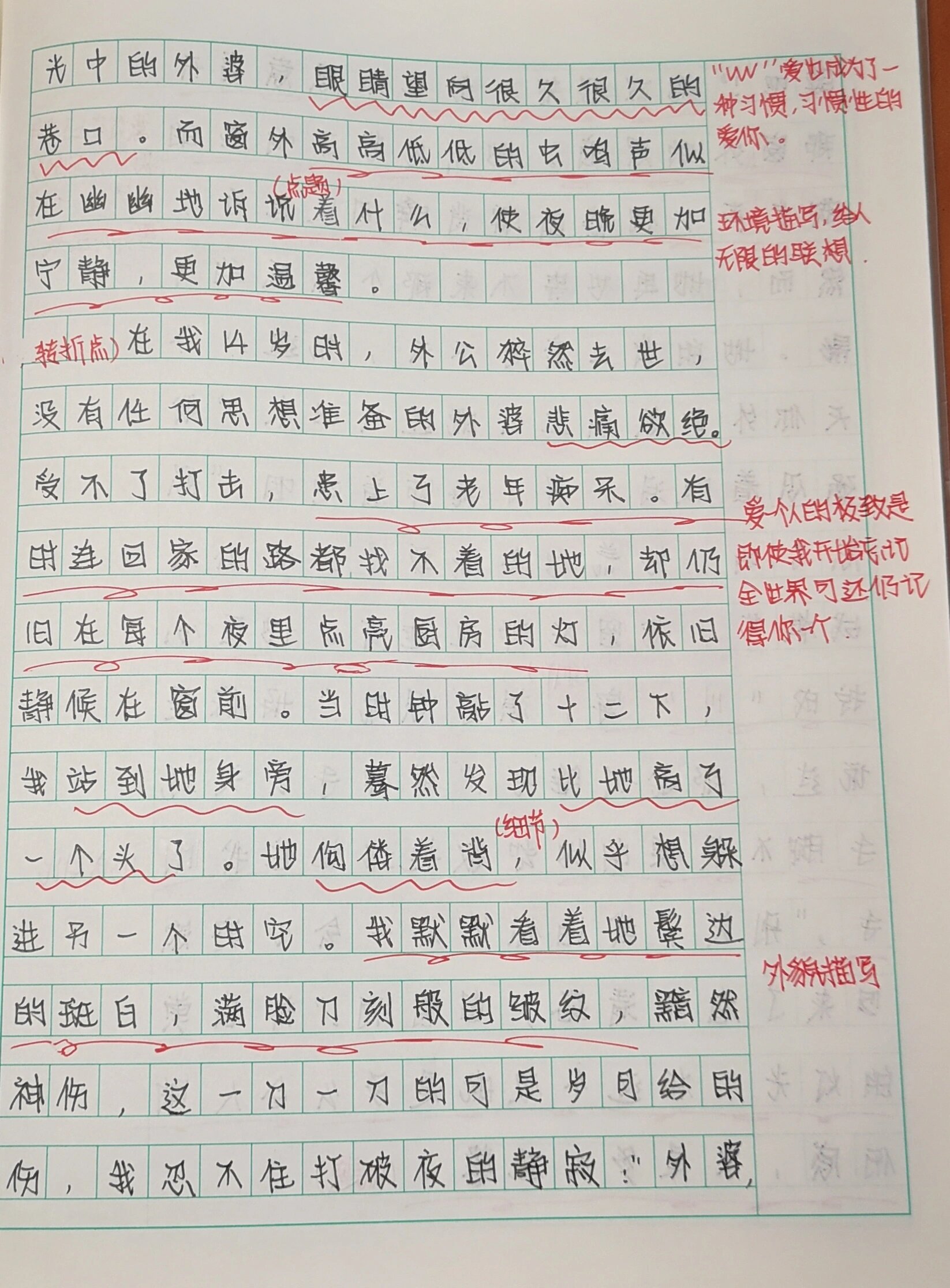 作文摘抄加批注点评