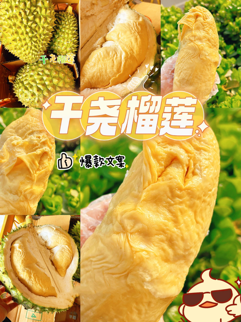 干尧榴莲文案这样发,一天十箱卖光光 16615干尧榴莲:92干尧榴莲