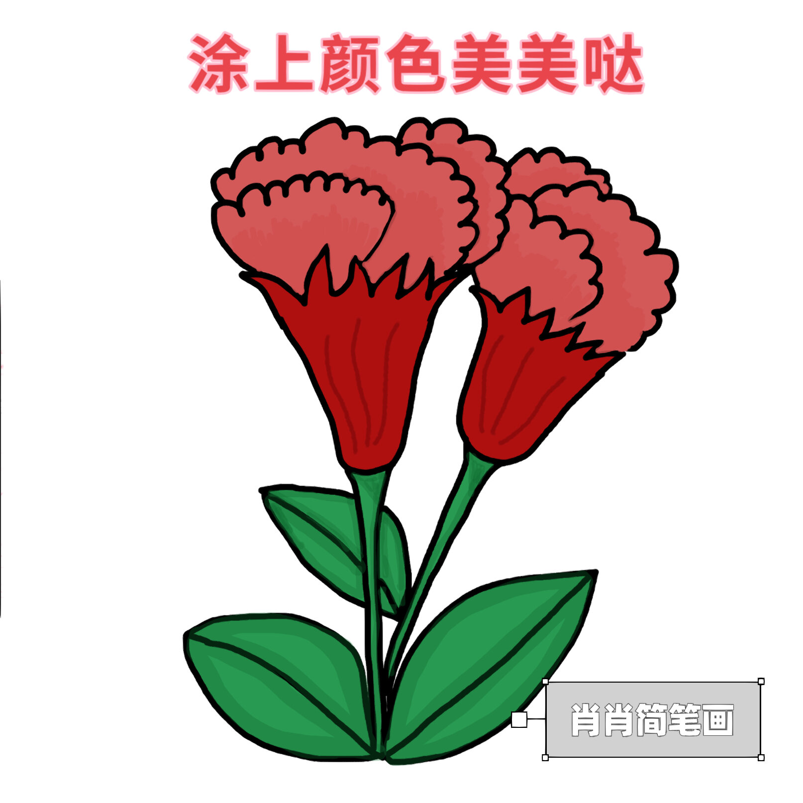 简笔画石榴花的画法图片