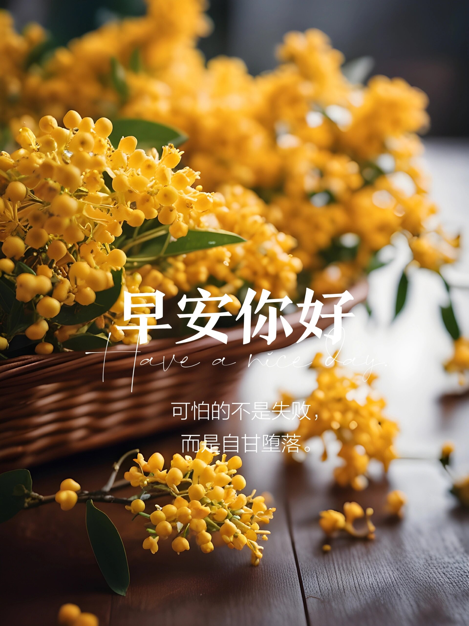 早安励志的句子(早安励志的句子语录)