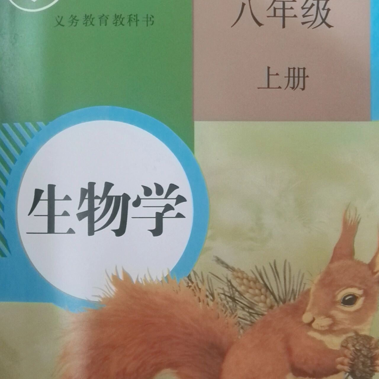 八上人教生物第一章第二节笔记 八年级上册人教版生物 第一章第二节