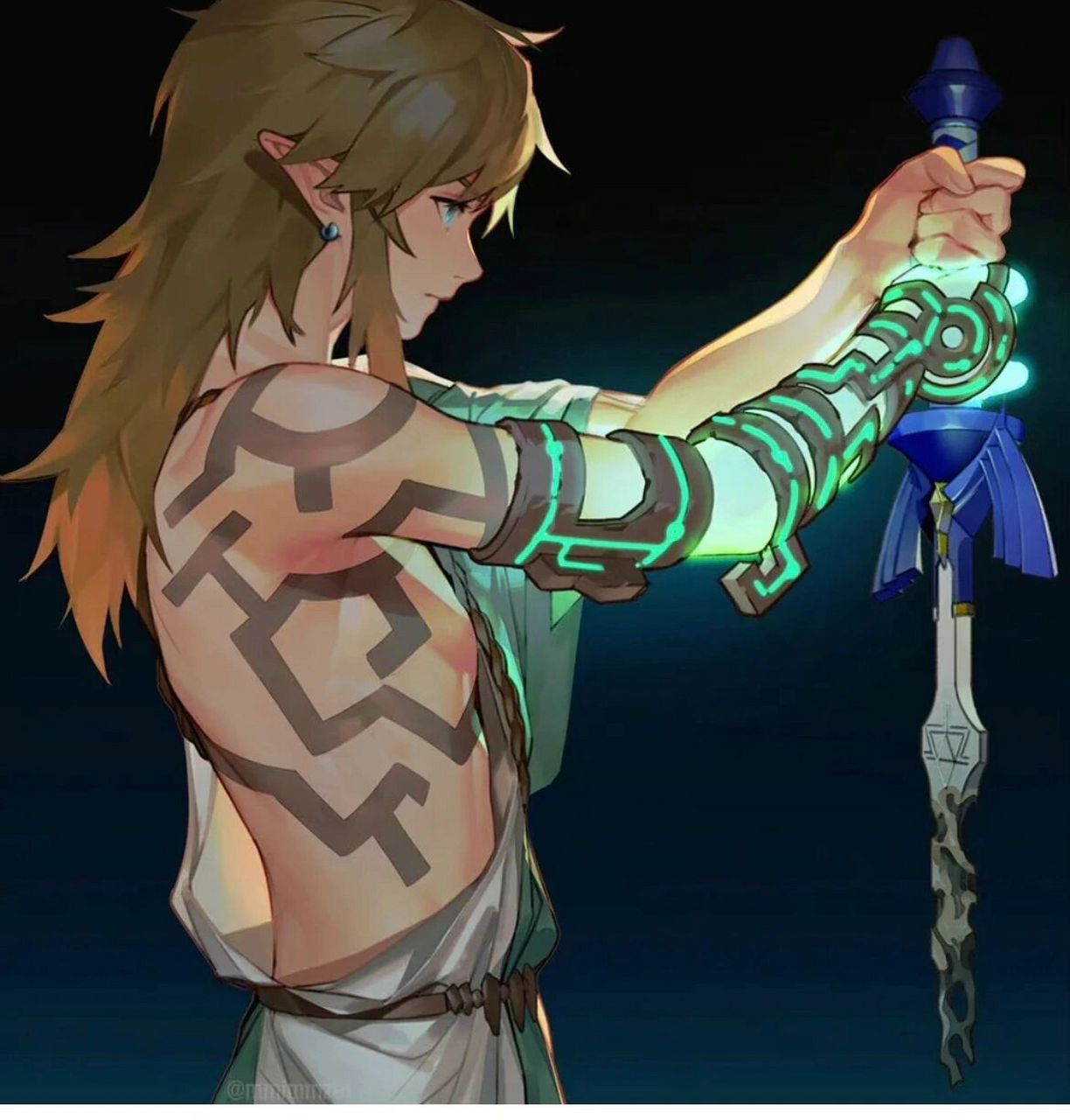 各位海拉鲁老流氓着急征服海陆空 我我着急看林克的新本子 花臂长发