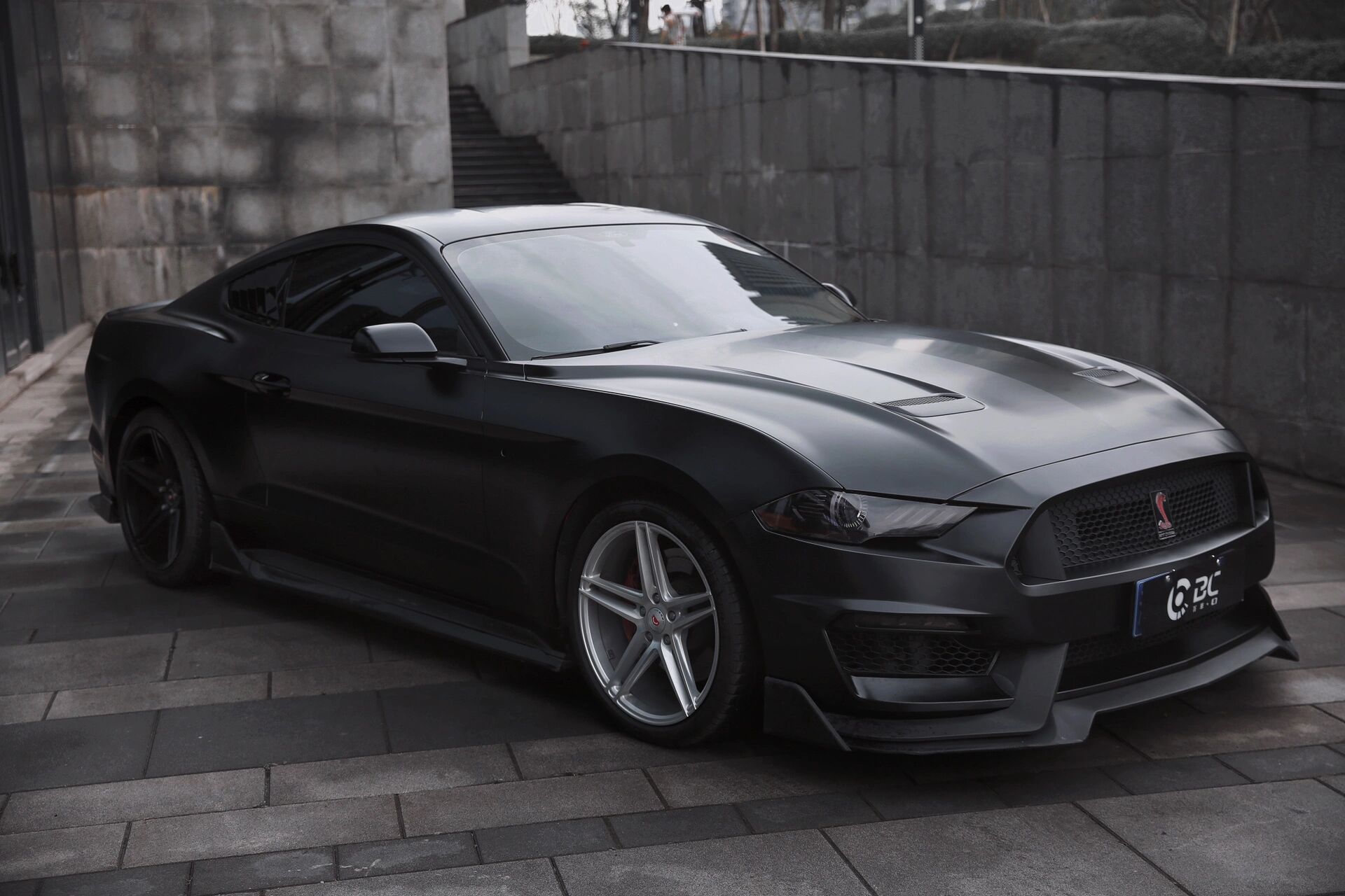 野马 蝰蛇 黑武士 陶瓷黑