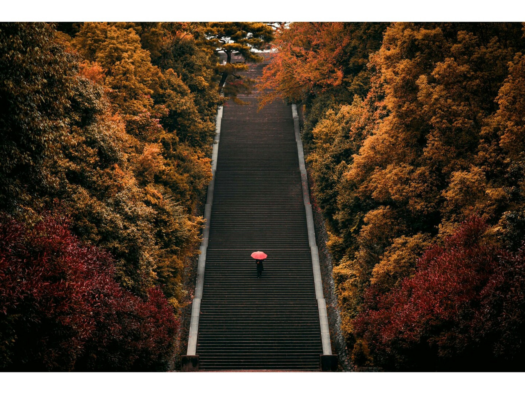 明治天皇伏见桃山陵Ⅰ人生必去78 78有生中必去的地方之一 78