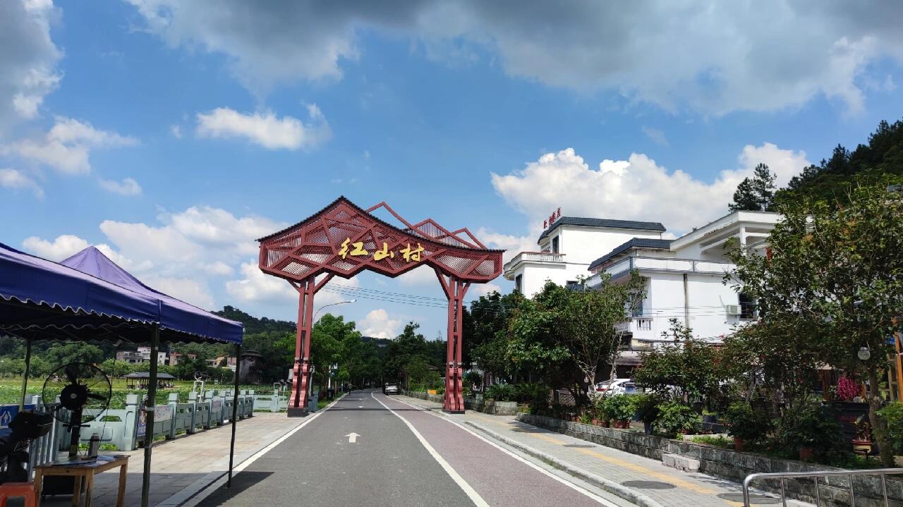 周末好去处:广州市花都红山村(花田小镇)