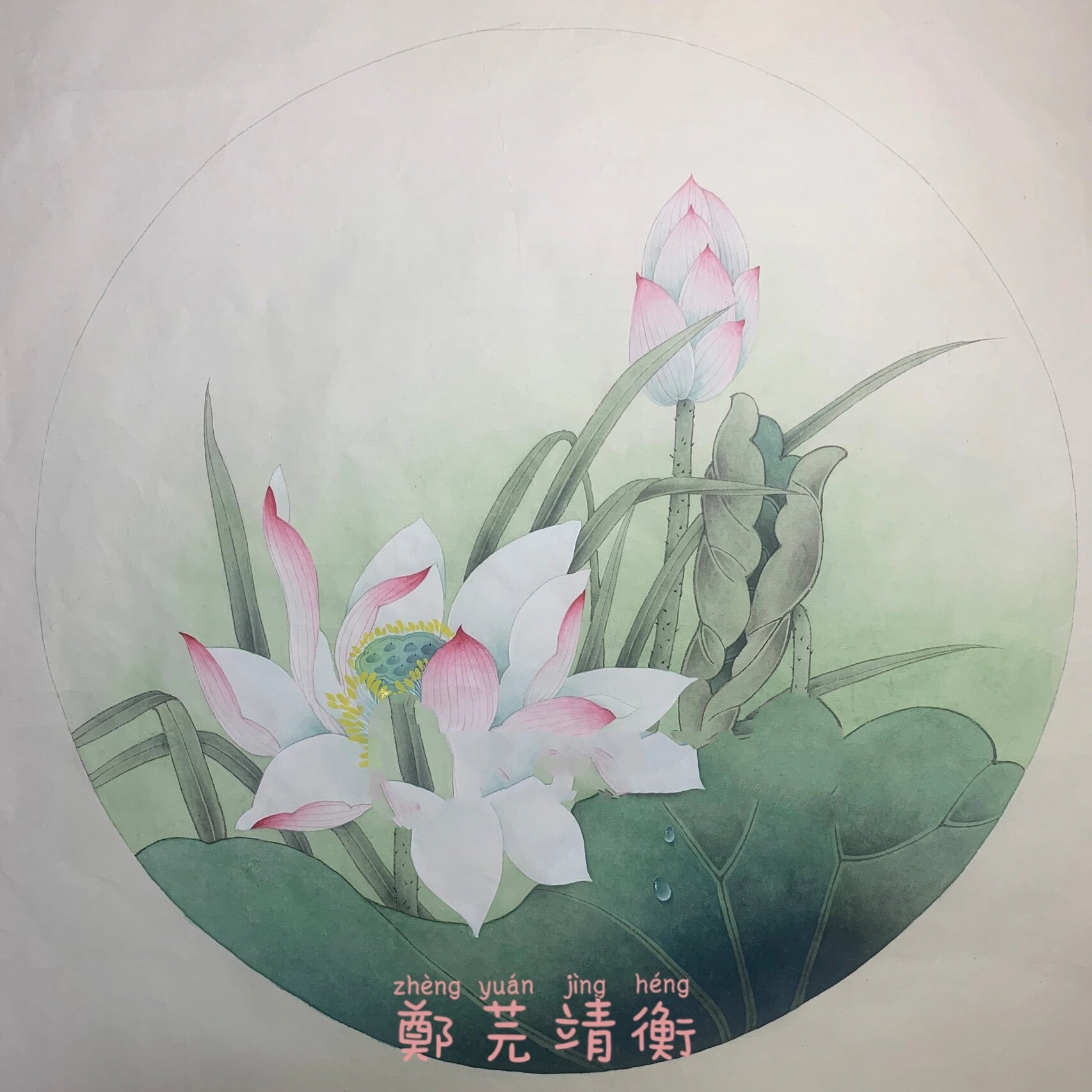 国画荷花花苞的画法图片