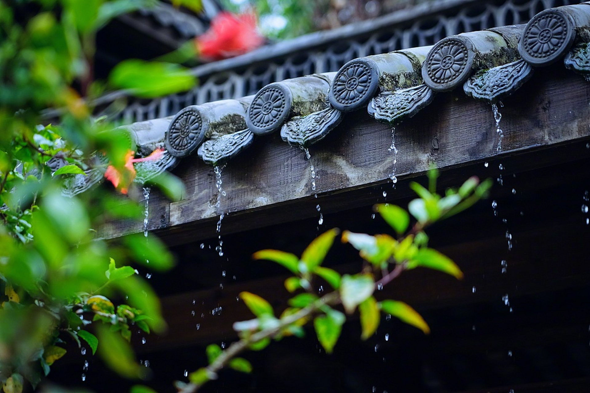 【专家预测浙江今年梅雨季降水减少】最近浙江连续发布暴雨预警,很多