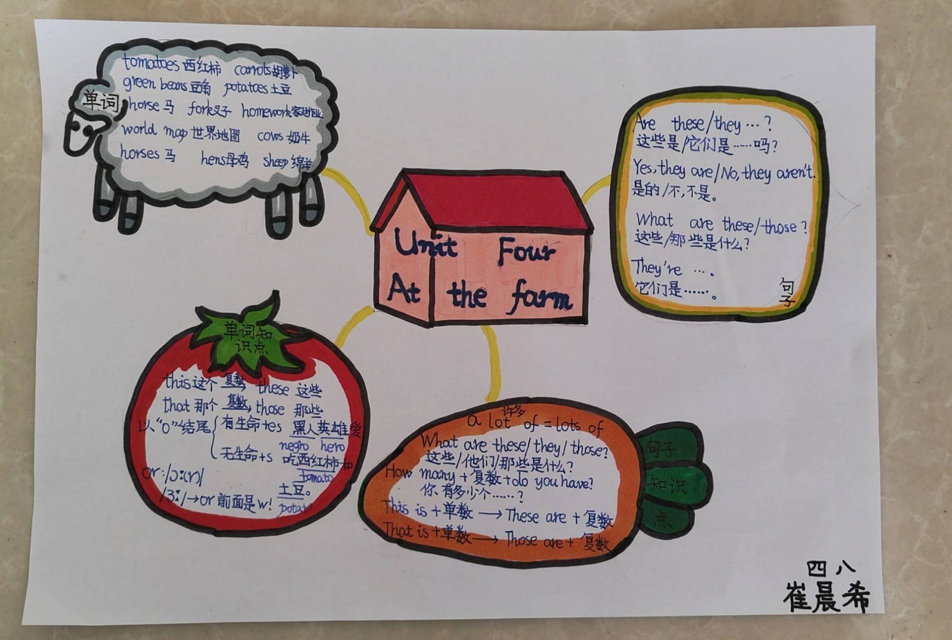 四年级英语下册第四单元思维导图