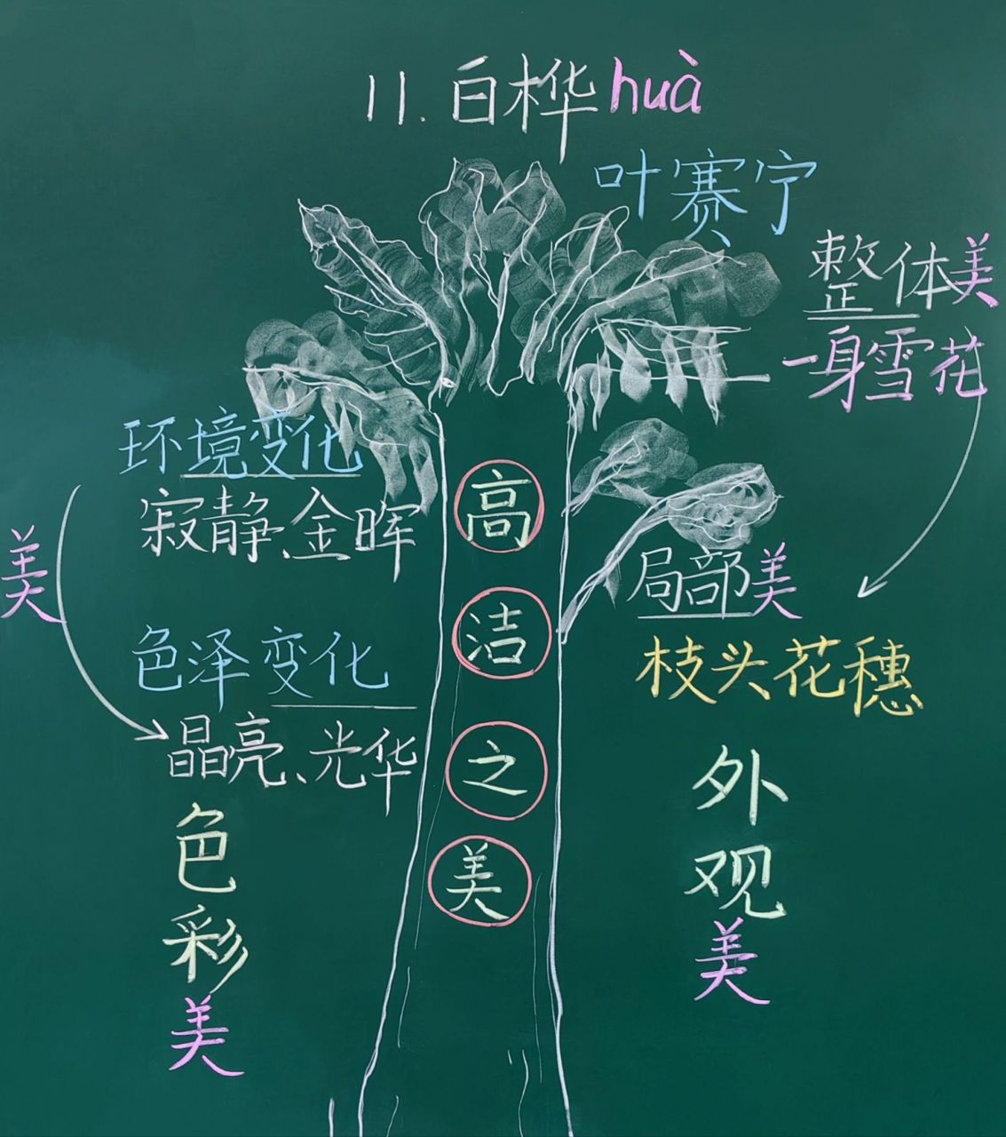 四下|白桦|板书设计     (补充:俺不会画白桦)