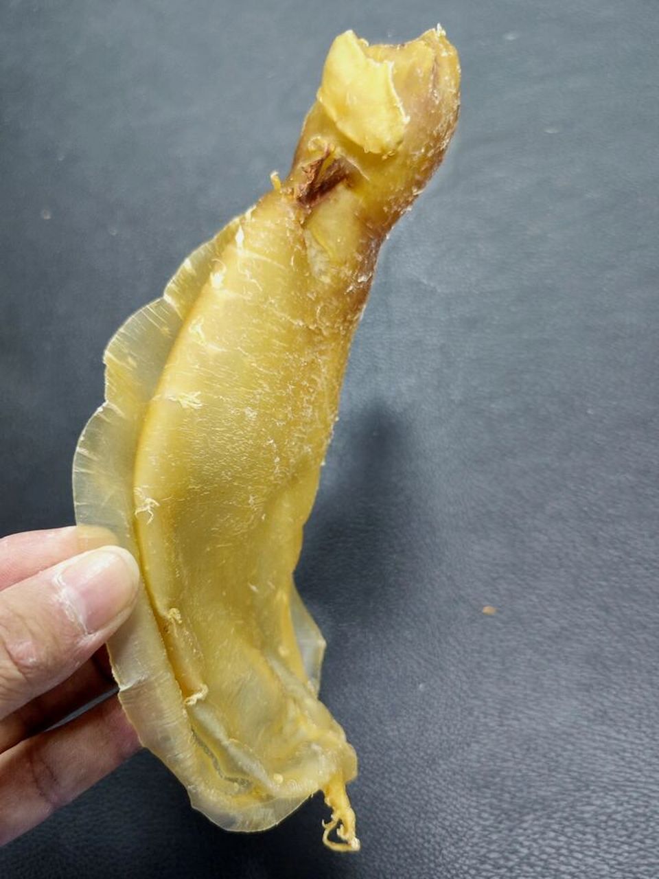 品相:整体品相完整,胶体头部有一破口 #野生大耳##大耳赤嘴公# #鱼胶