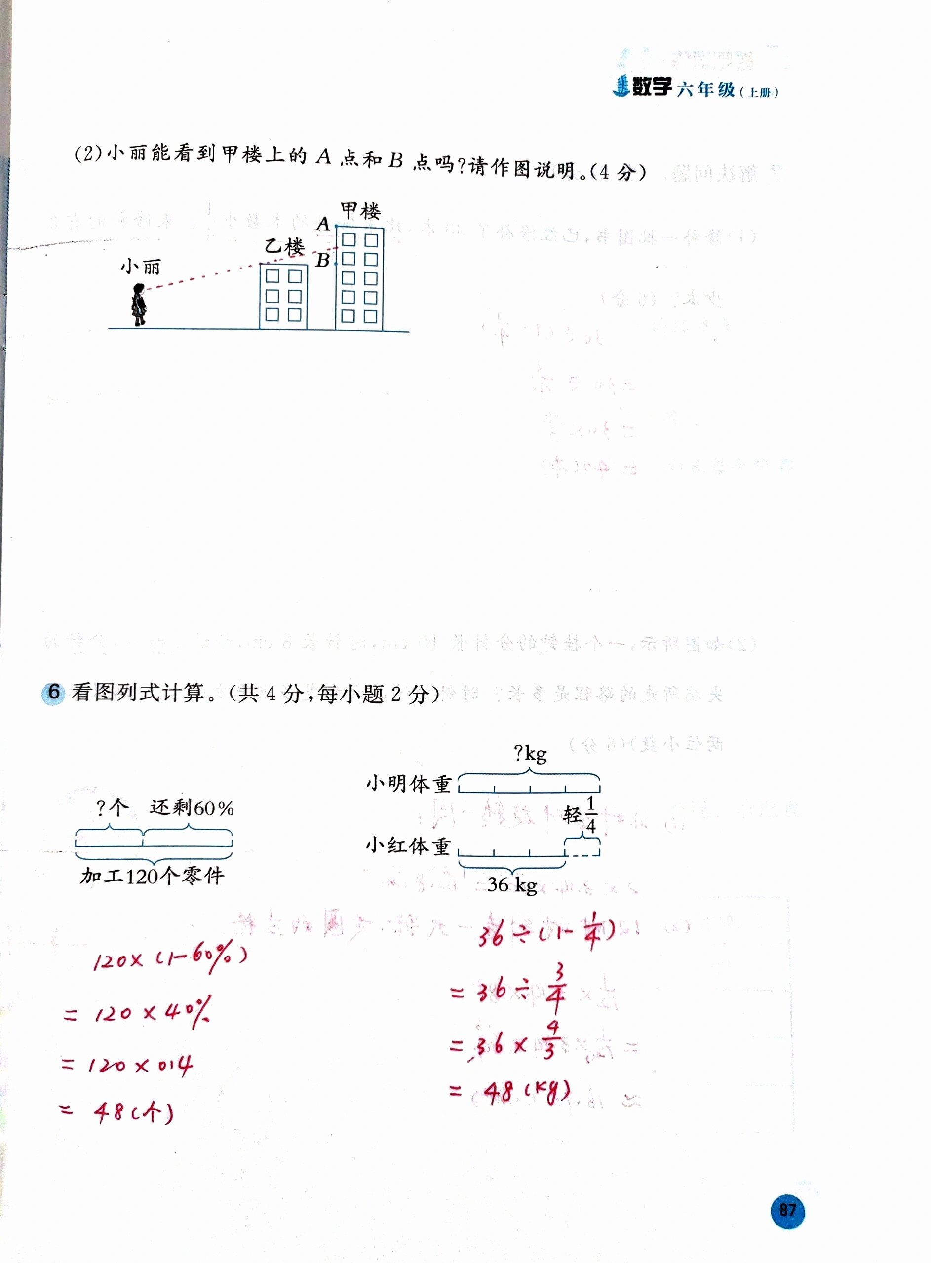北师大版小学数学六年级上册基础训练期中测试卷