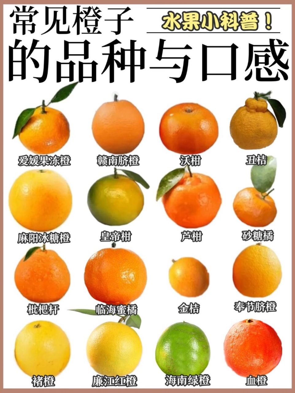 混淆 今天我来分享几款市面上常见又容易混淆的柑,橘,橙的区别及分类!