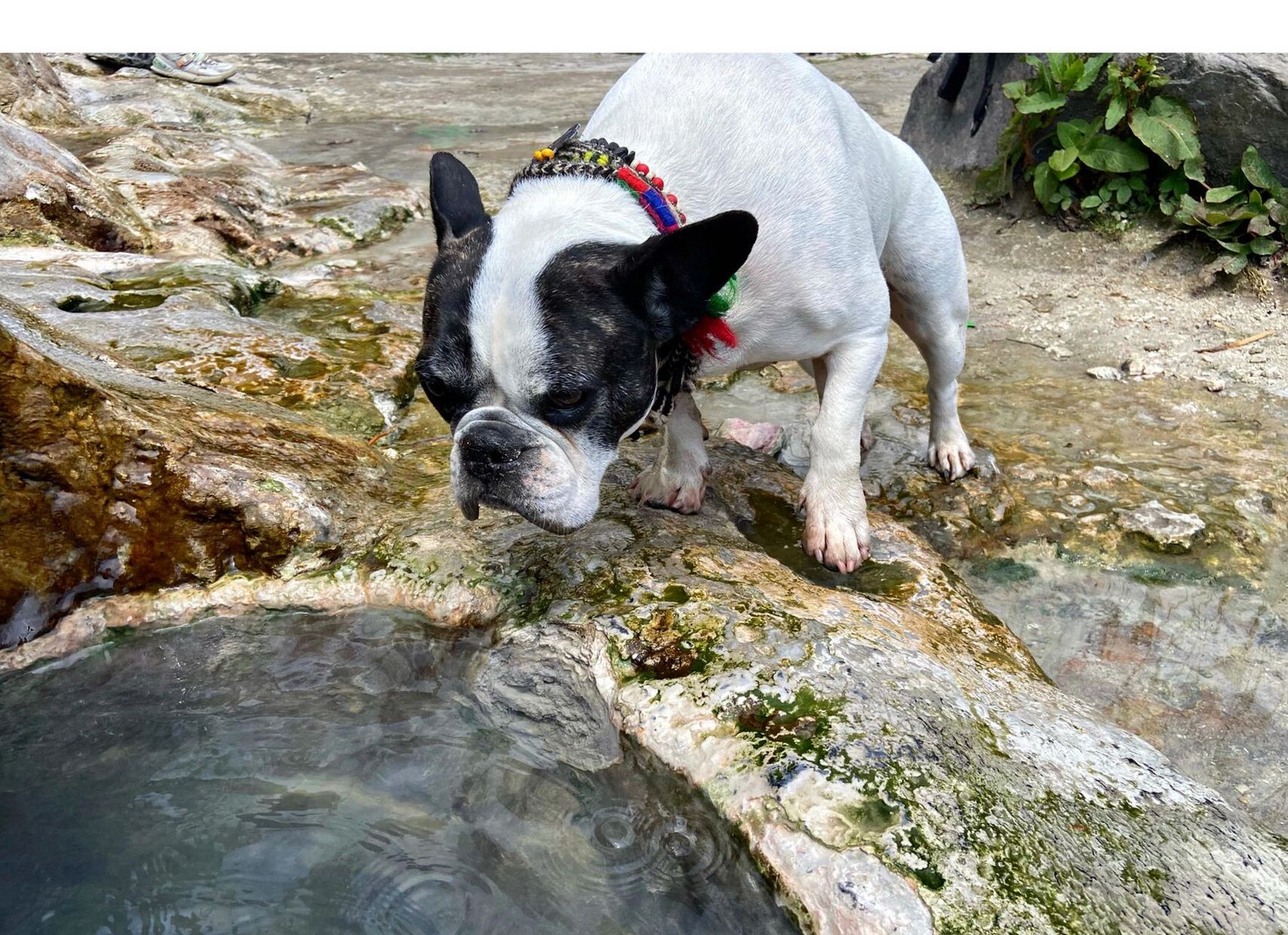 陈塘沟九眼温泉 海拔2999但也把我累够呛,一路太不容易,终于算是没