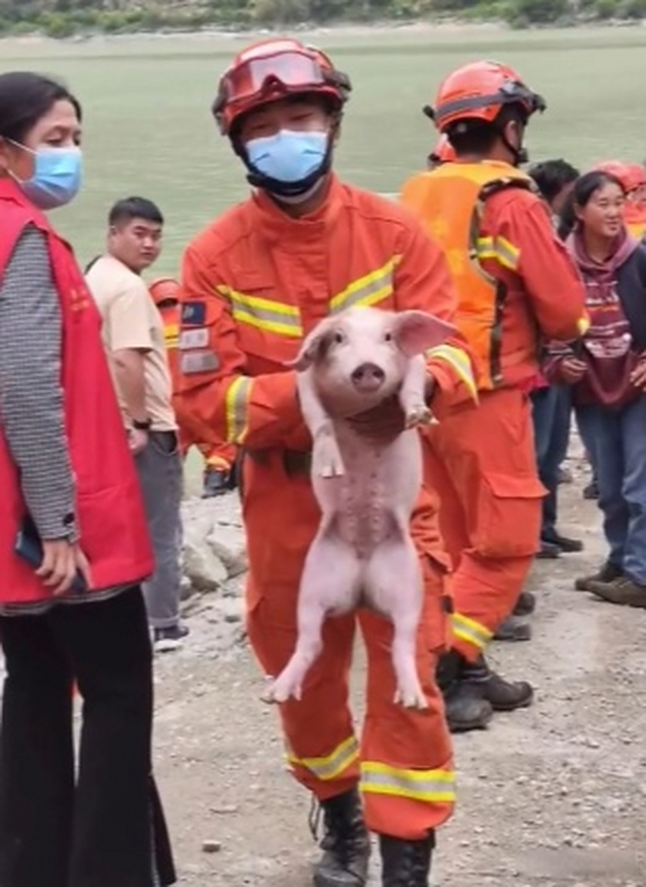 9月6日,四川甘孜,消防员在得妥镇转移受灾