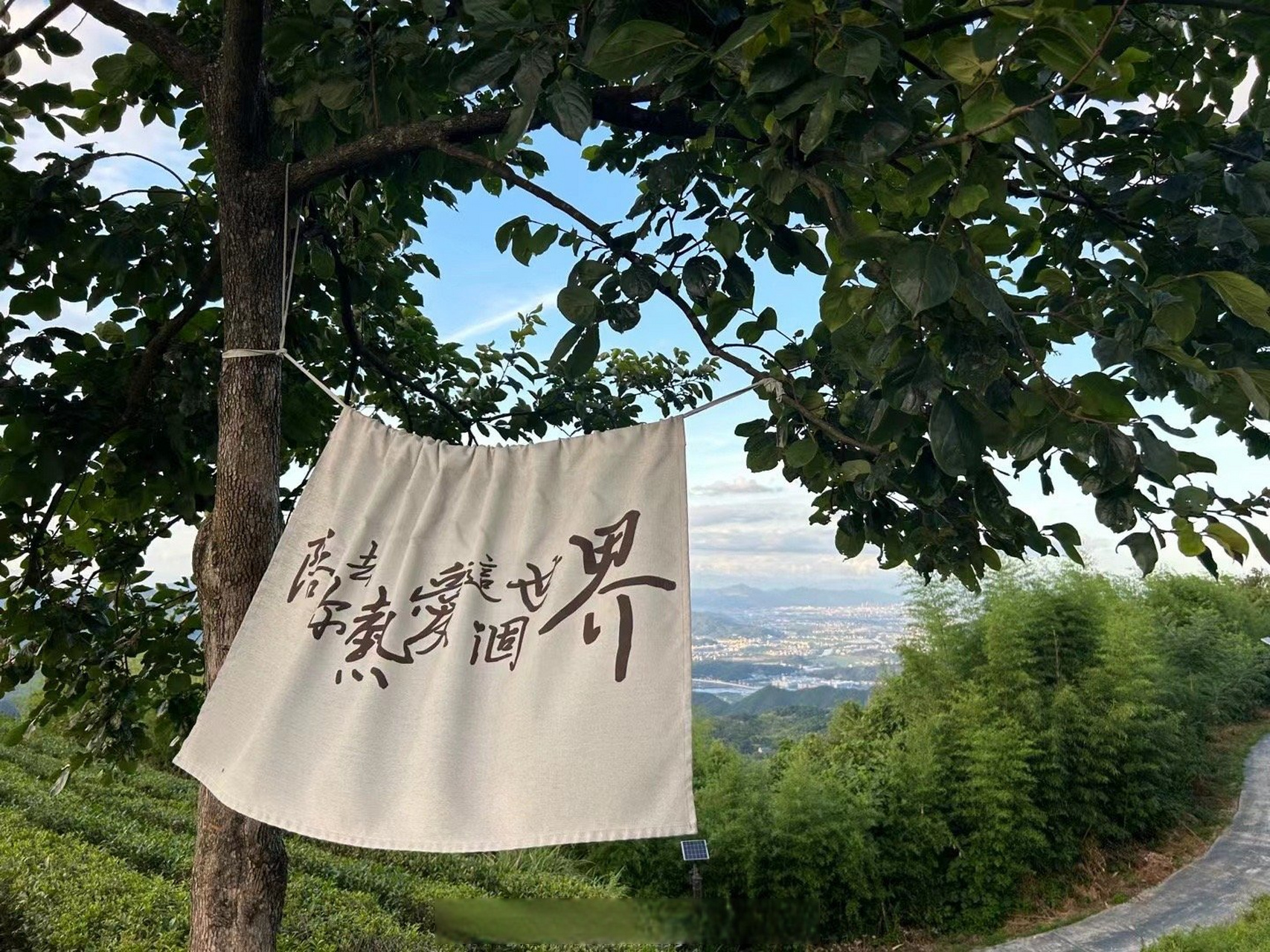 金华职业技术学院##带着微博去旅行#  背包已装满晴朗,随时出发看