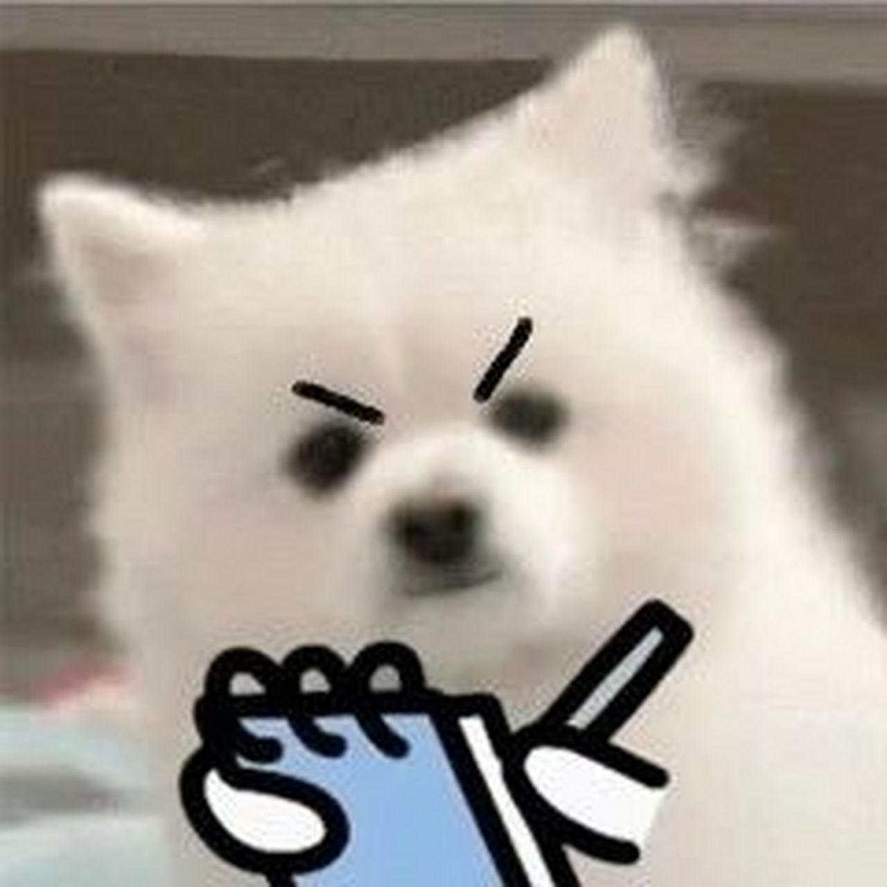 扣分小狗无字原图来啦 听说你们要找原图,在这了都拿走吧,保存之后在