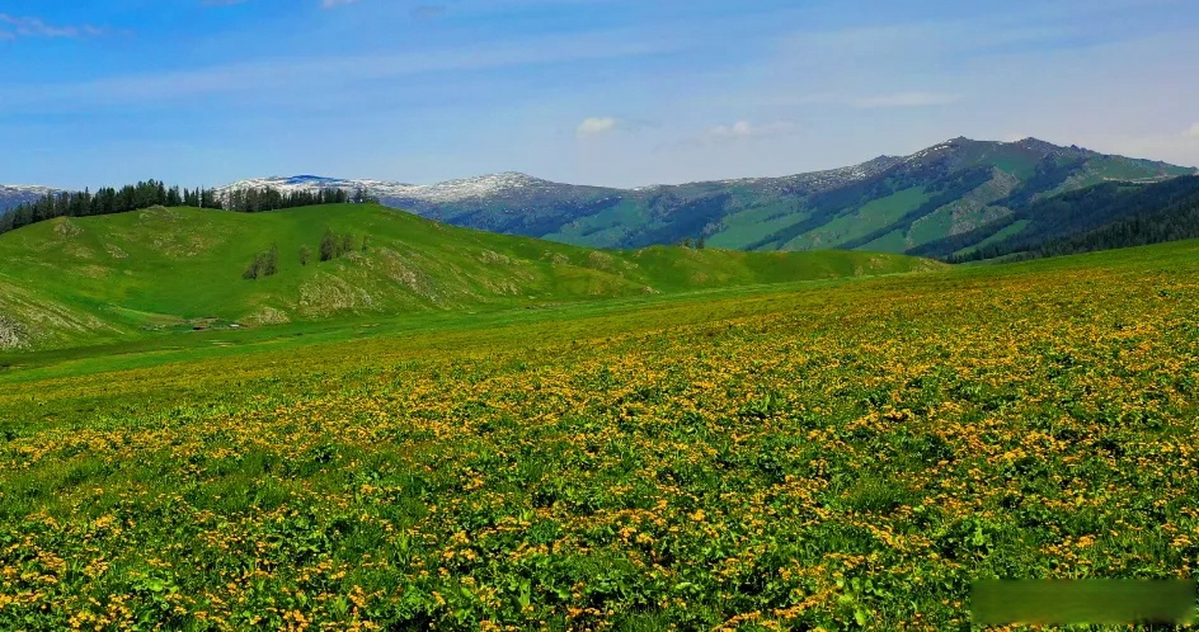 托勒海特位于新疆阿勒泰地区阿禾景区,与禾木乡仅一山之隔,这里水草