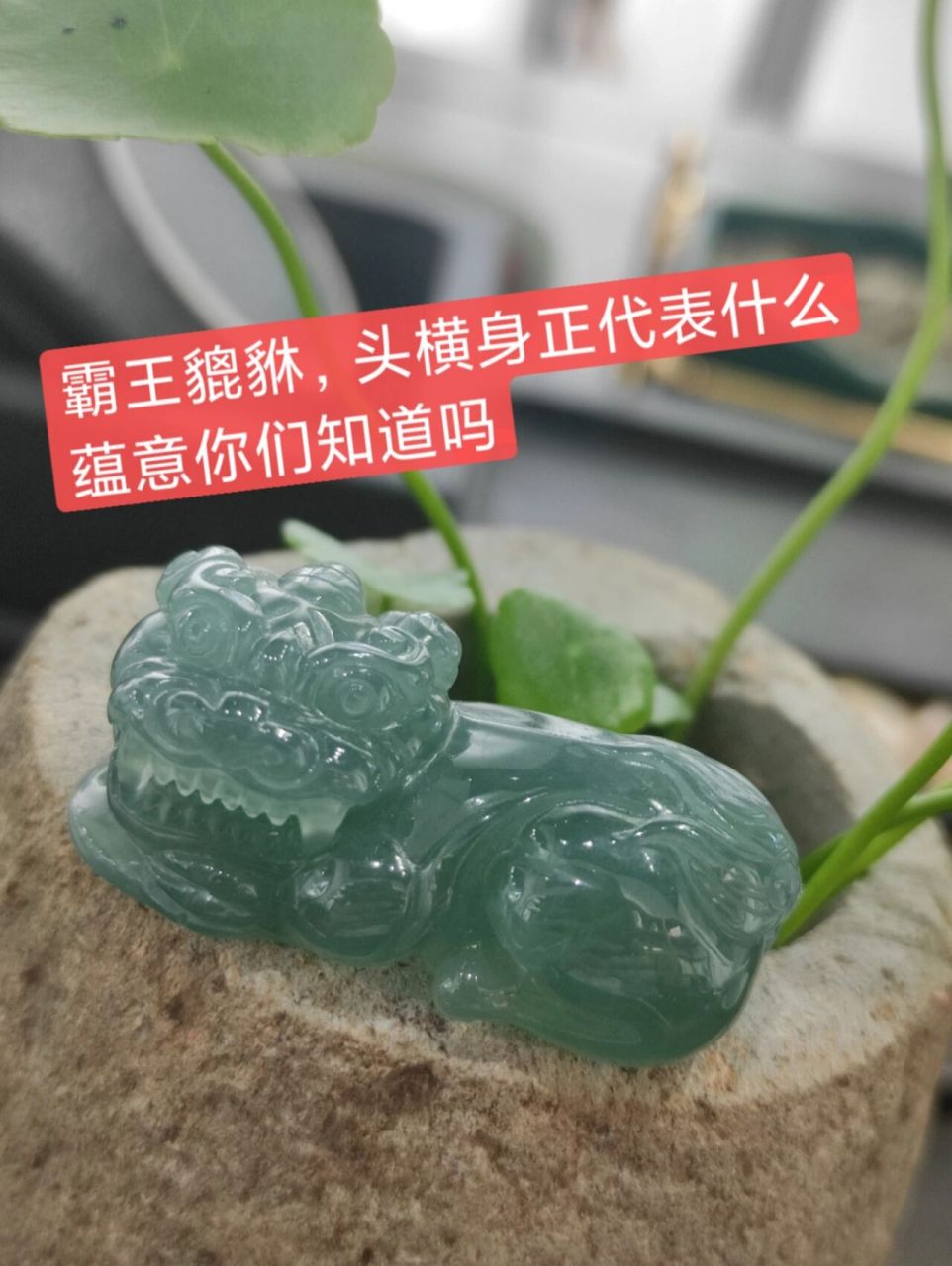 什么是霸王貔貅又有什么讲究蕴意呢? 霸王貔貅,头横身正!