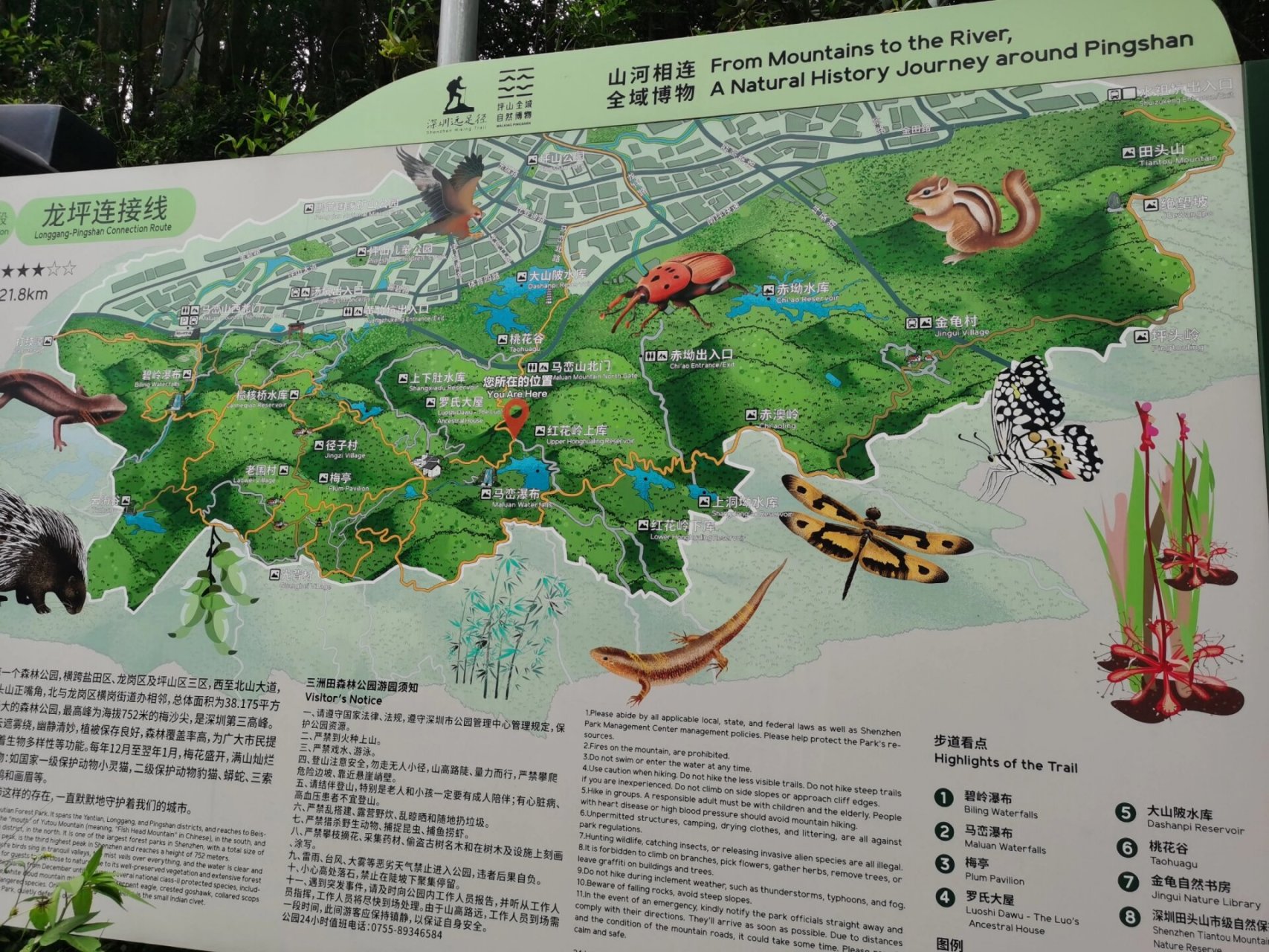 马峦山郊野公园有绿野仙踪,有漂亮的大瀑布正所谓山水之乐,得之心而寓