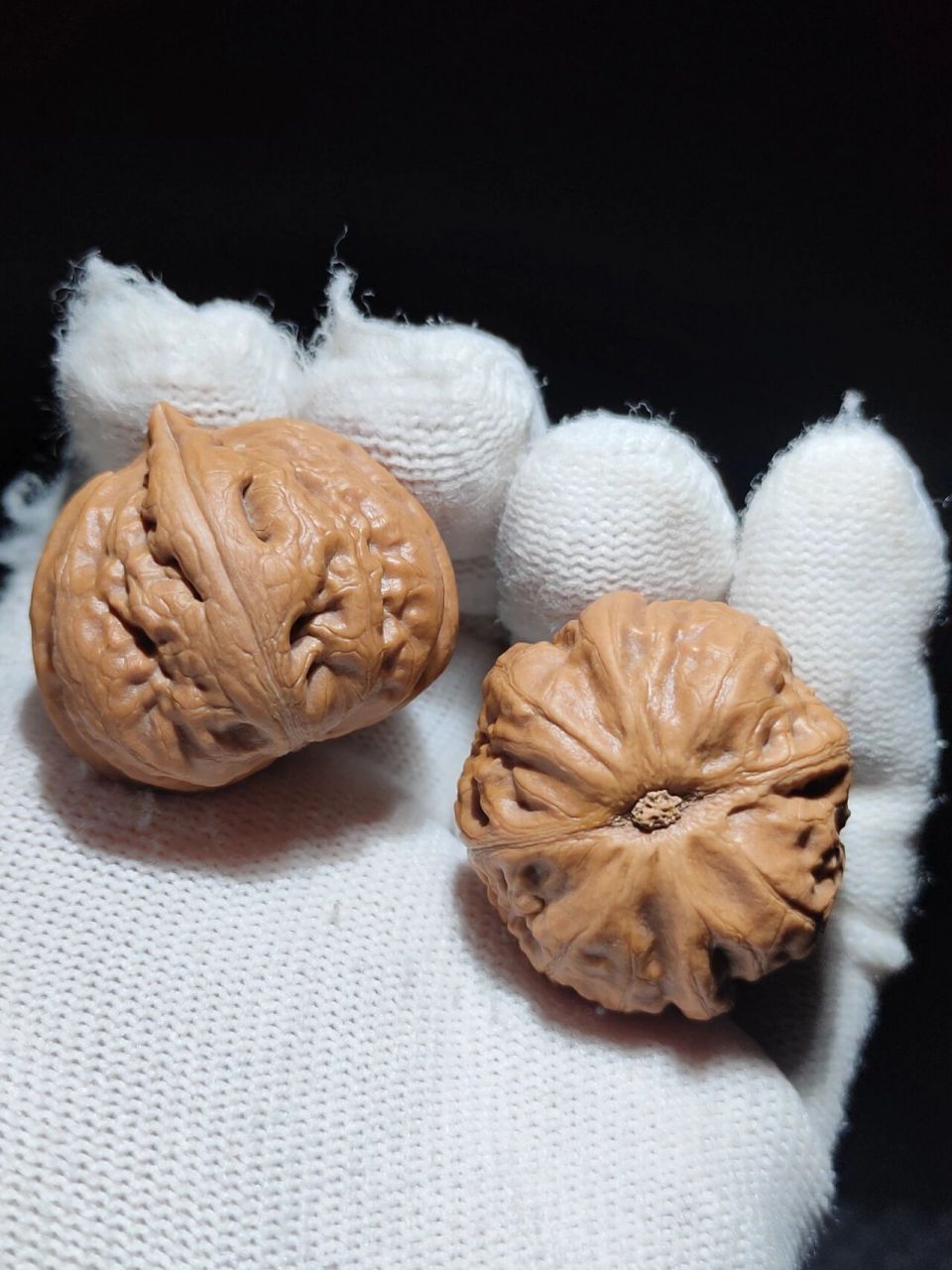 99编号:0338 9915尺寸:30 98野生小核桃霸王龙粗筋秋子手捻