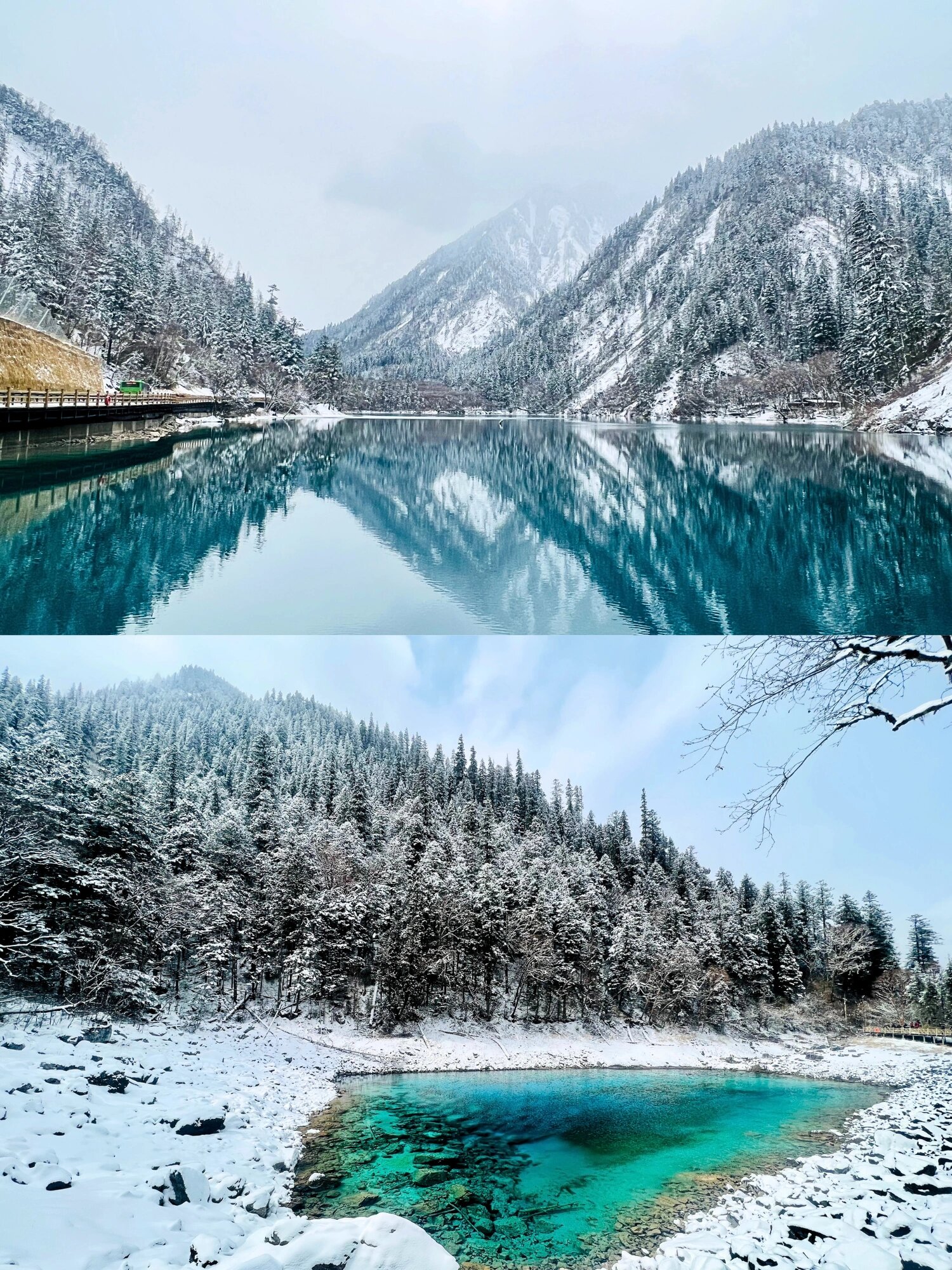 西安出发,元旦九寨沟3日保姆级旅行攻略