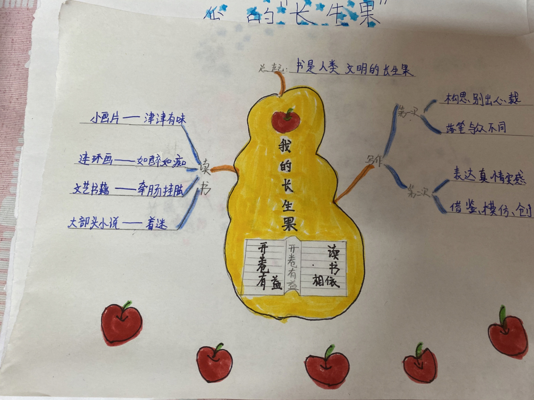 27我的长生果思维导图图片