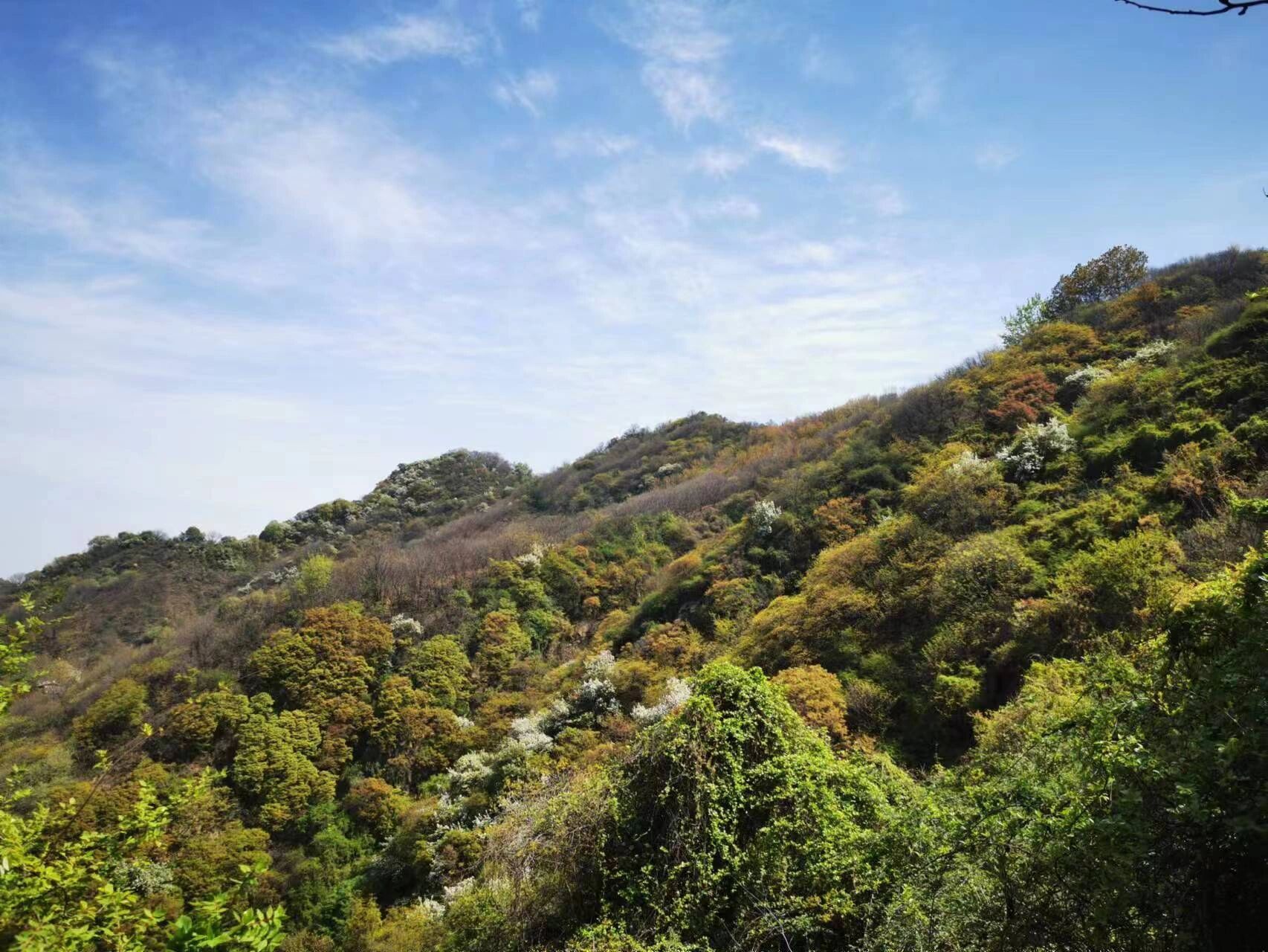 秦岭月亮沟徒步|适合小白亲子 96月亮沟路村庄,竹林,瀑布,寺庙众多