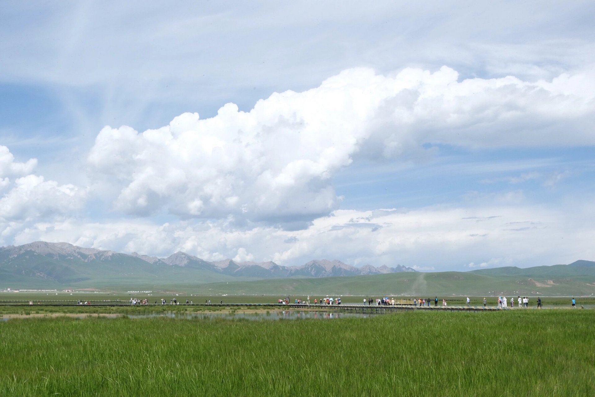 有点坑的若尔盖花湖 99门票:9075(德阳人免门票) 观光车:9035