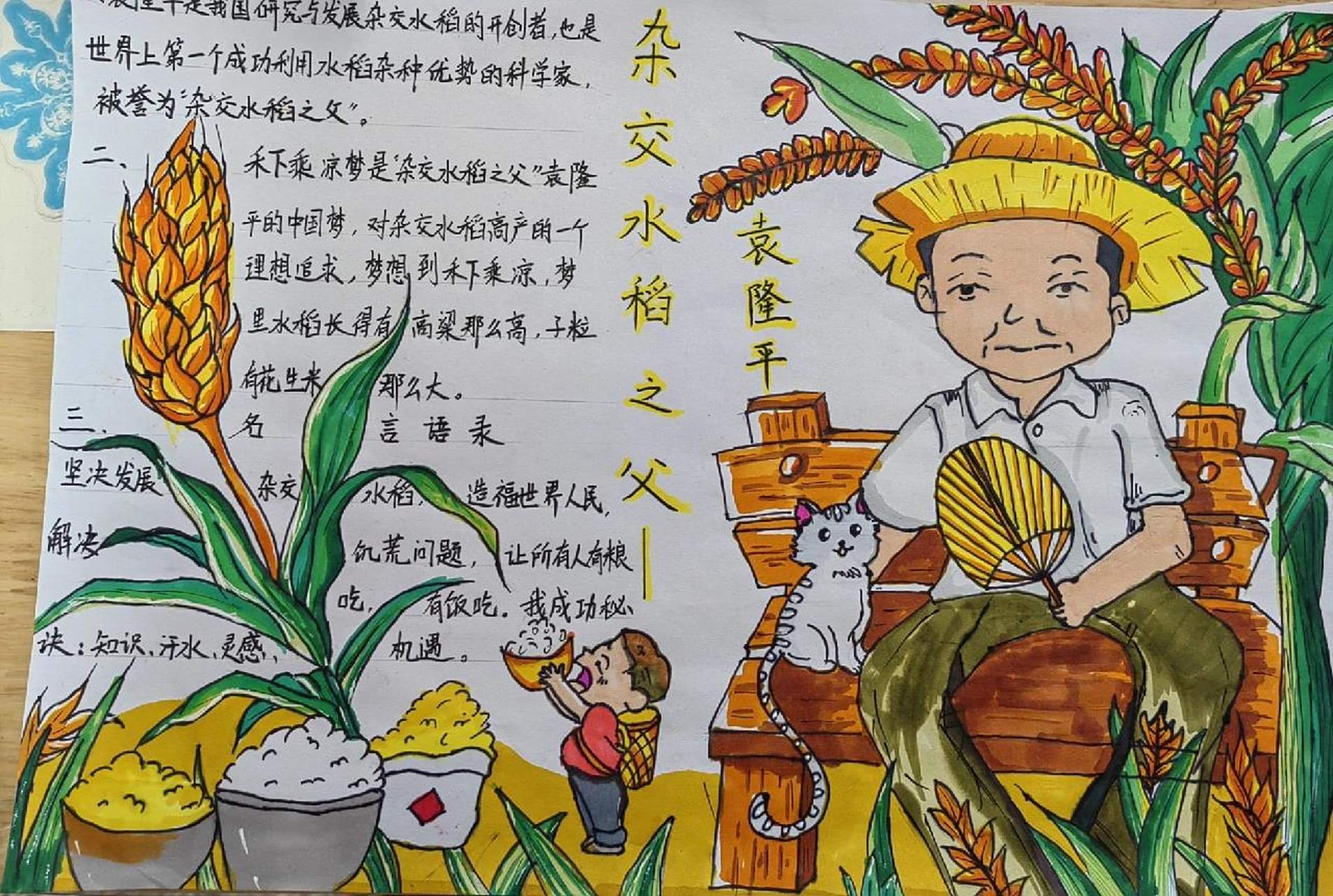 杂交水稻之父-袁隆平手抄报 手抄报