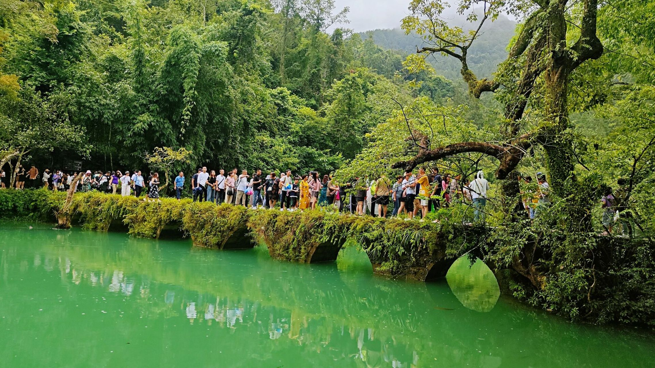 贵州当地参团旅游图片