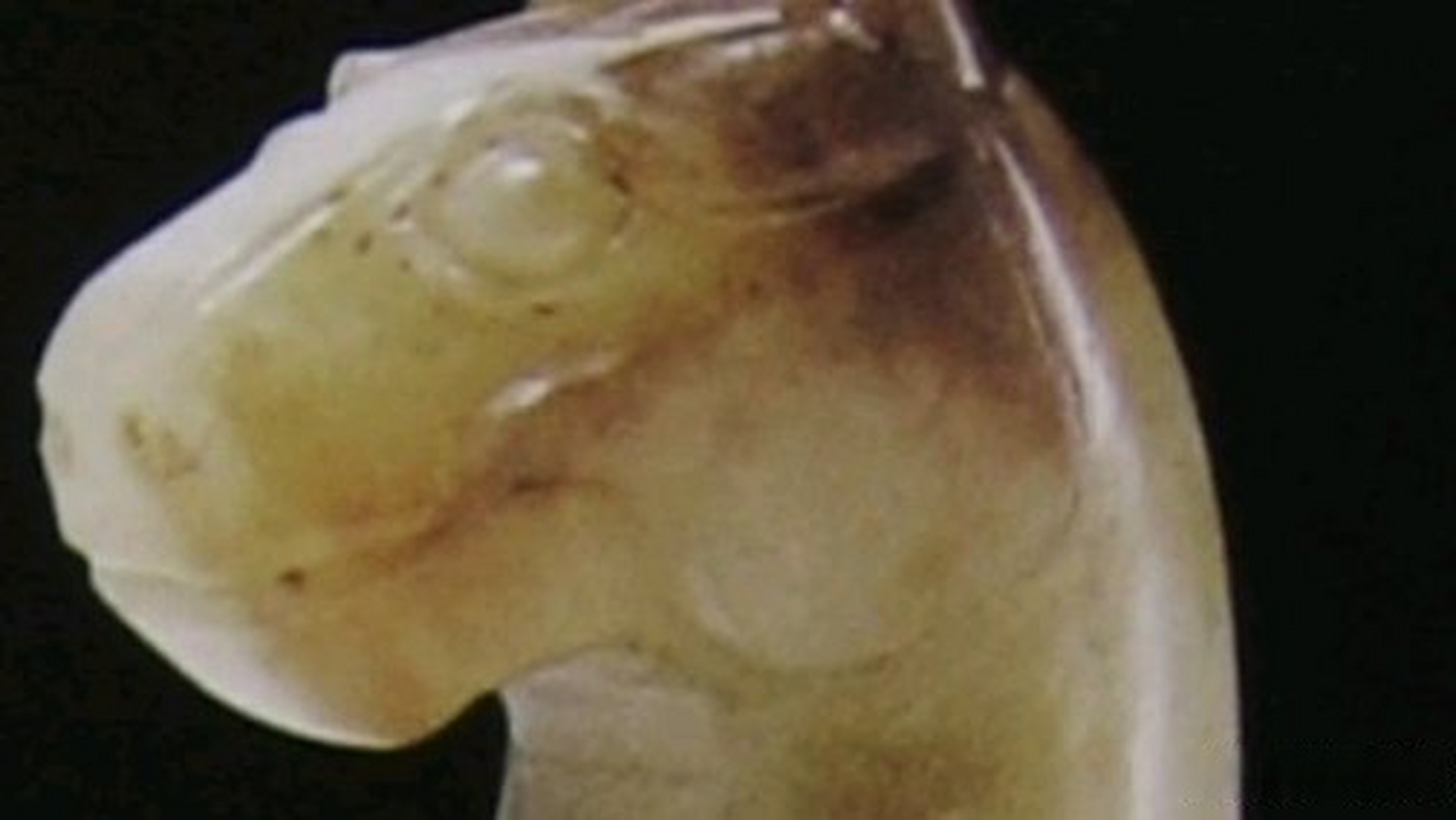 这篇文章很有意思《战国名品玉马》[网页链接]