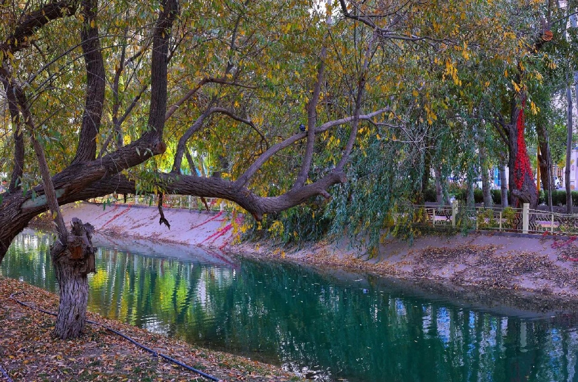 新疆和田昆仑湖公园 昆仑公园是和田地区最大的公园,占地88000平方米.