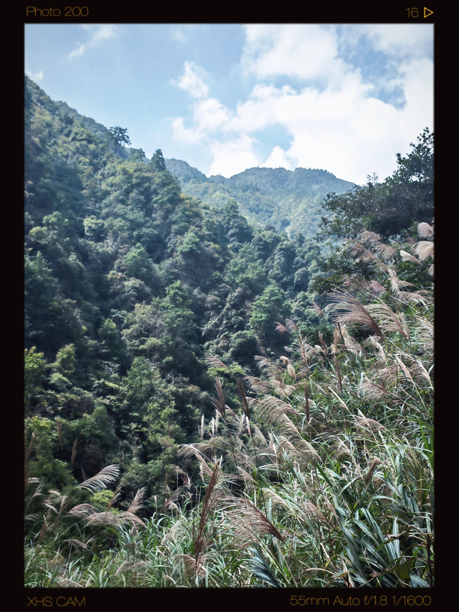 雷公山自驾游线路图片