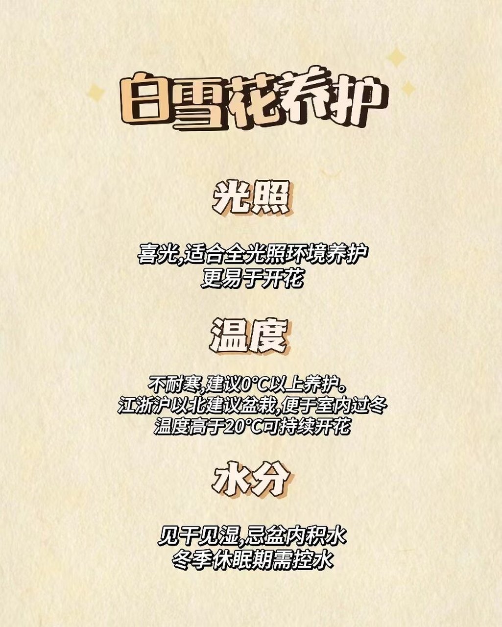 每周一个花草养护知识丨白雪花 白雪花,是水瓶座的守护花.