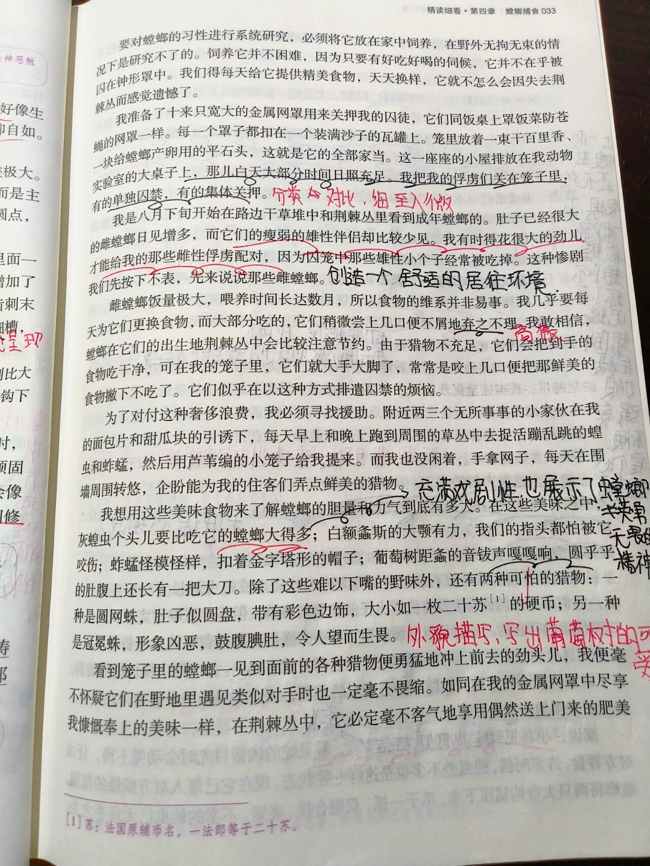 捕蝉185章图片