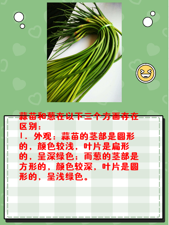 外观:蒜苗的茎部是圆形的,颜色较浅,叶片是扁形的,呈深绿色;而葱的茎
