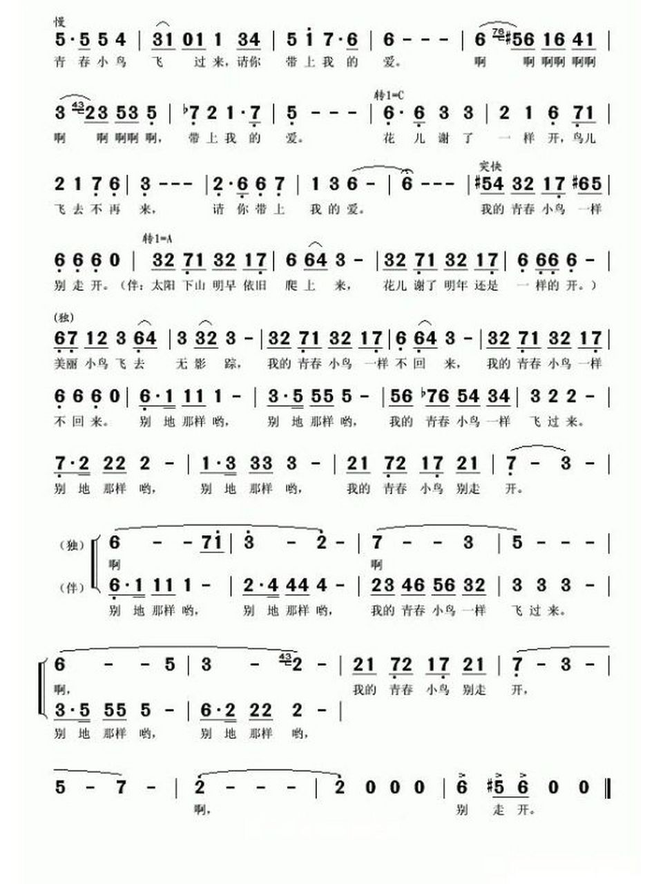 《青春舞曲》简谱版 1,a大调独唱版 2,降b大调四声部合唱版