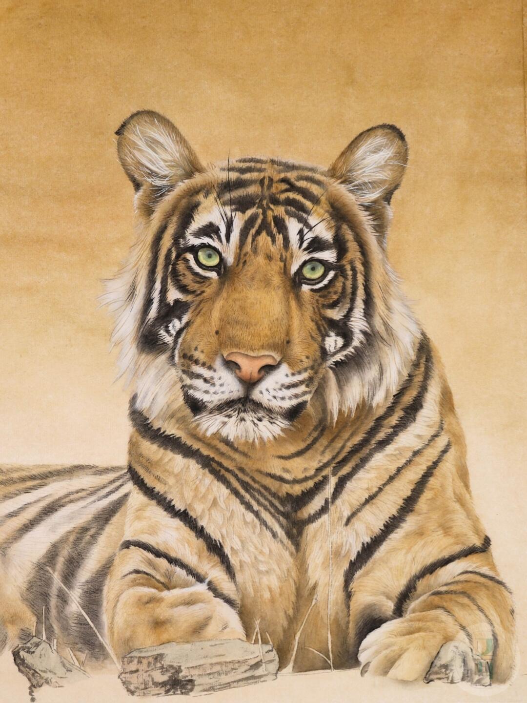 国画工笔老虎手绘分享🐯