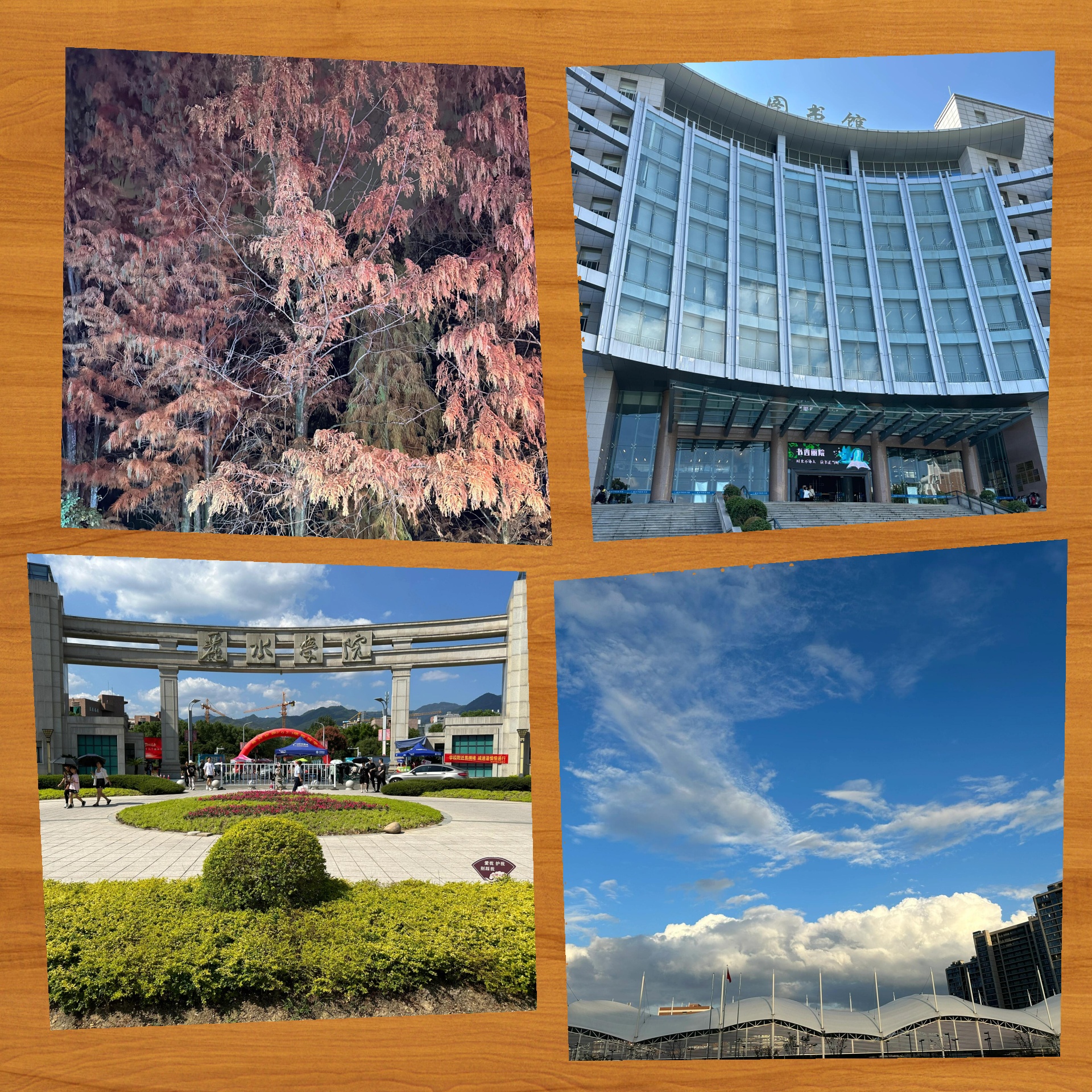 丽水学院 你的智慧之选欢迎报考